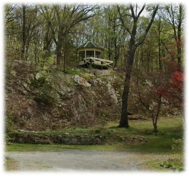 View of yard View of yard
