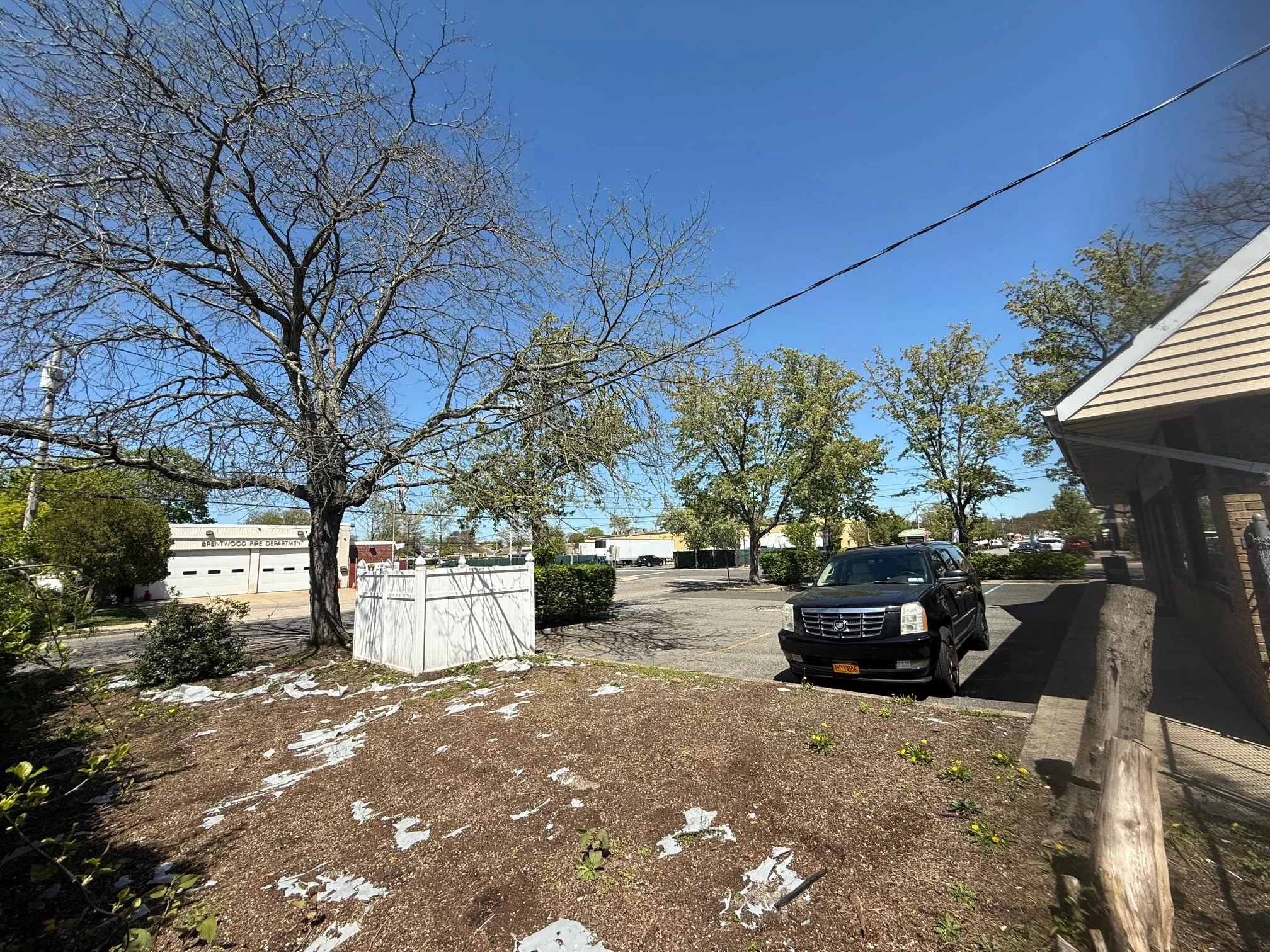 View of yard View of yard