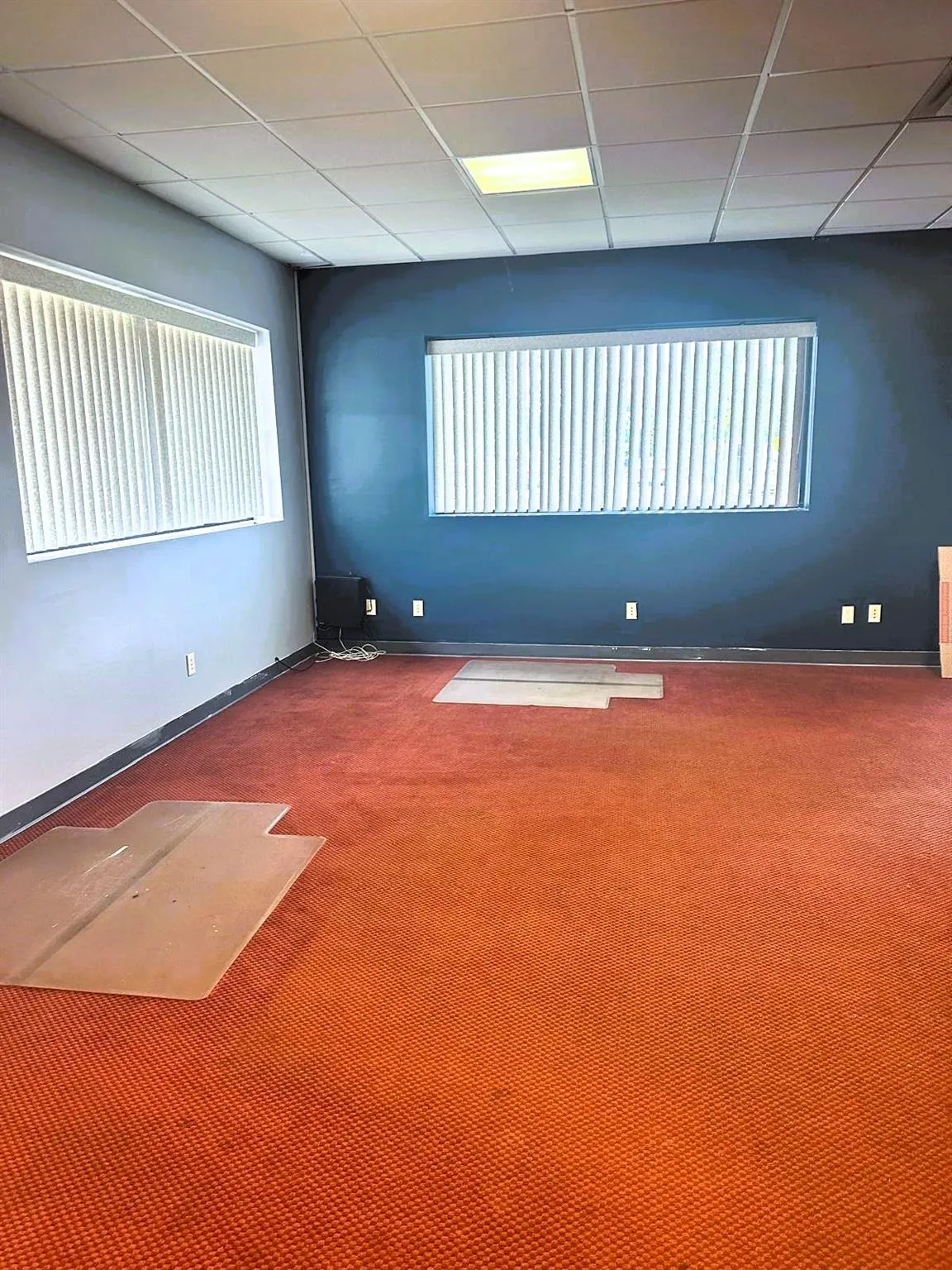Carpeted empty room featuring a drop ceiling and baseboards Carpeted empty room featuring a drop ceiling and baseboards