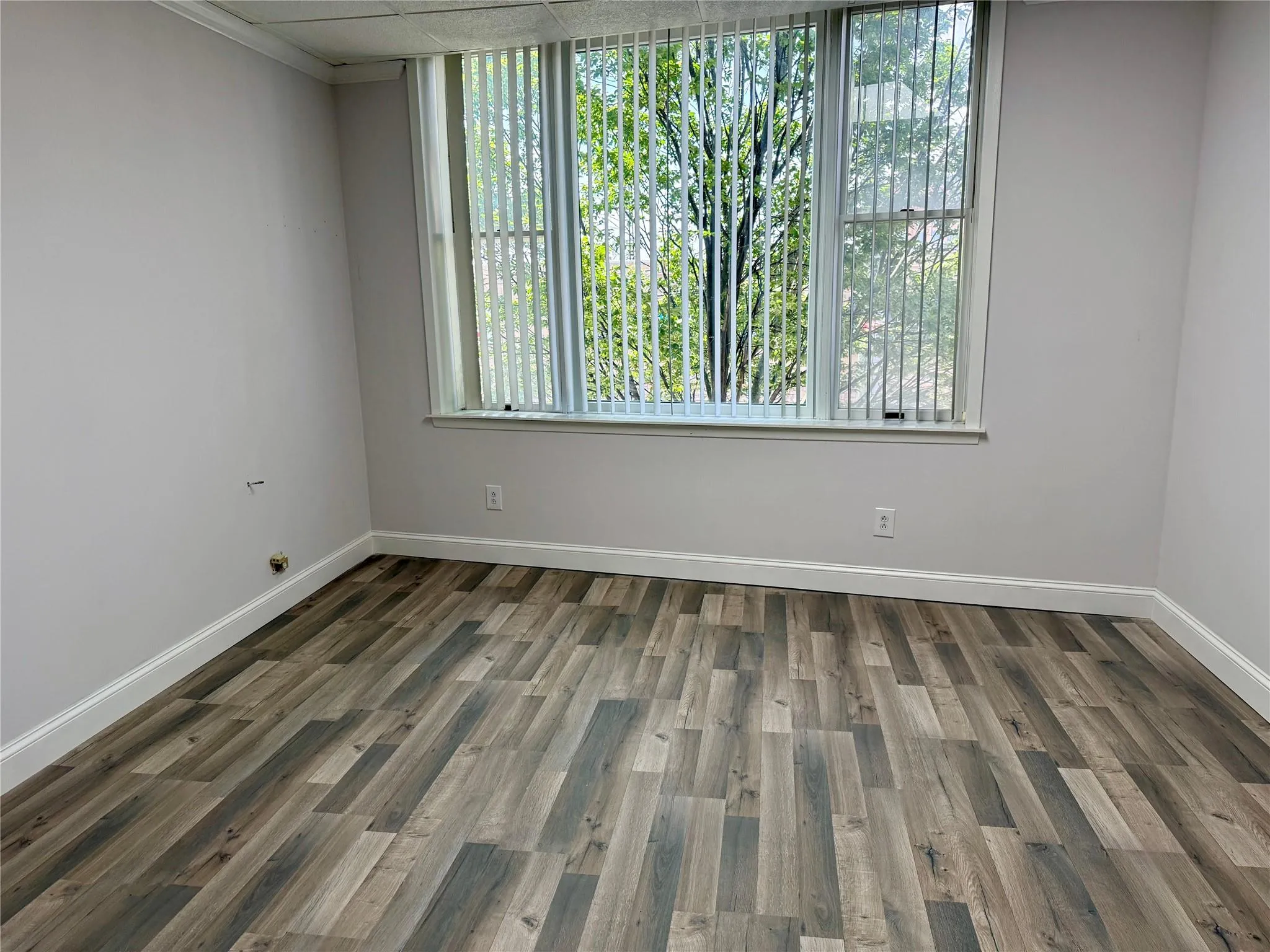 44 Atlantic Avenue, Hempstead, NY, ,Commercial Lease,Idx,Atlantic,887643 44 Atlantic Avenue, Hempstead, NY, ,Commercial Lease,Idx,Atlantic,887643