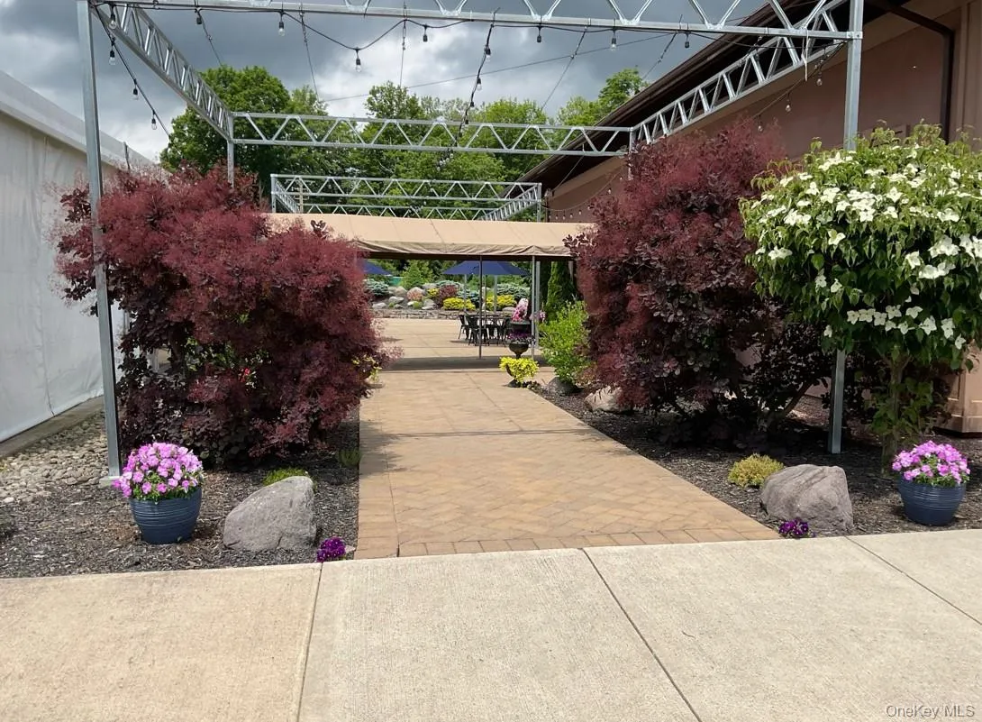 Surrounding community featuring a patio area Surrounding community featuring a patio area