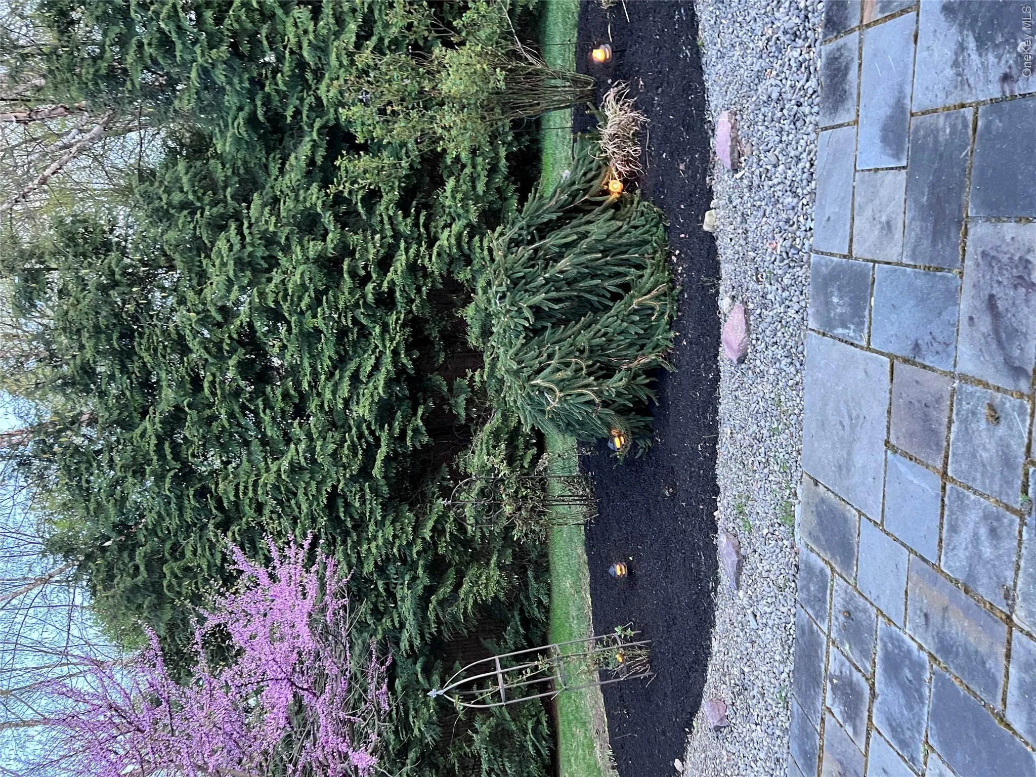 9 Roselawn Road, Woodbury, NY, 4 Bedrooms Bedrooms, 10 Rooms Rooms,3 BathroomsBathrooms,Residential,For Rent,Roselawn,0,887870 9 Roselawn Road, Woodbury, NY, 4 Bedrooms Bedrooms, 10 Rooms Rooms,3 BathroomsBathrooms,Residential,For Rent,Roselawn,0,887870