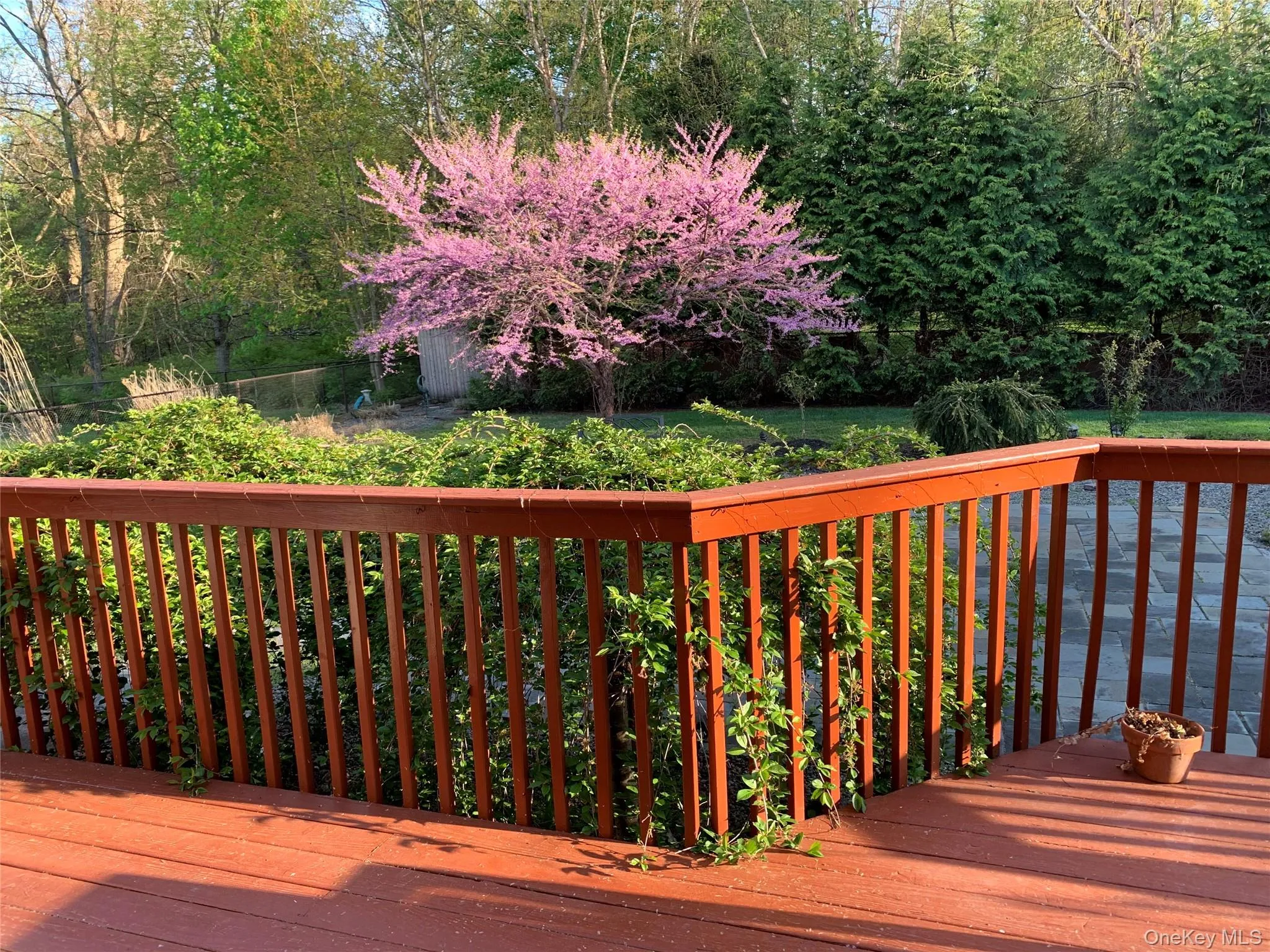 View of deck View of deck