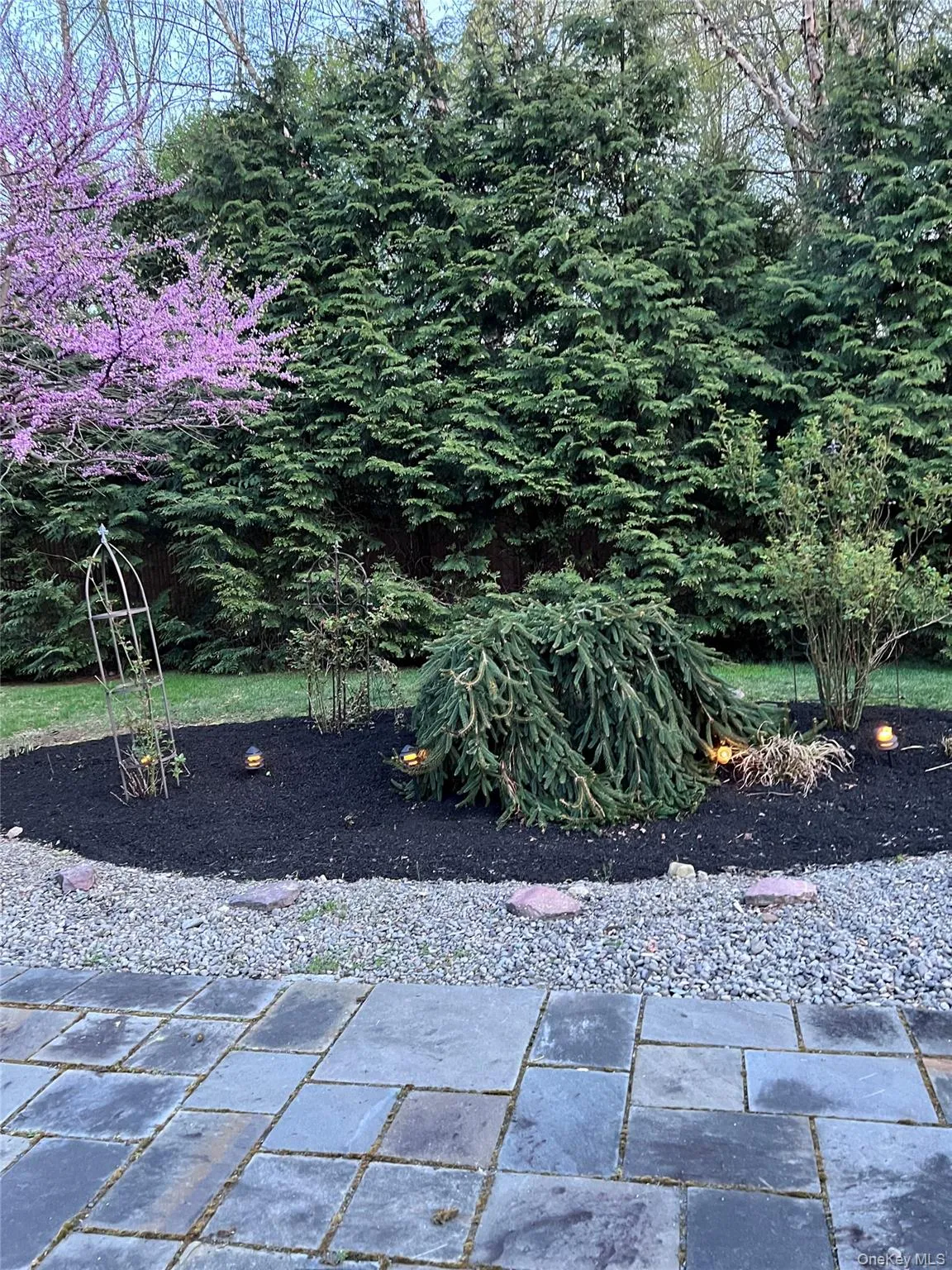 View of patio and garden View of patio and garden