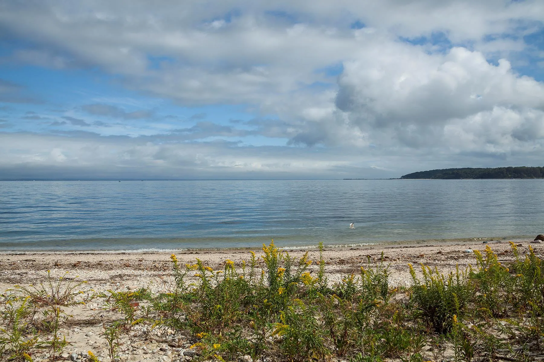 Water view featuring local beach Water view featuring local beach