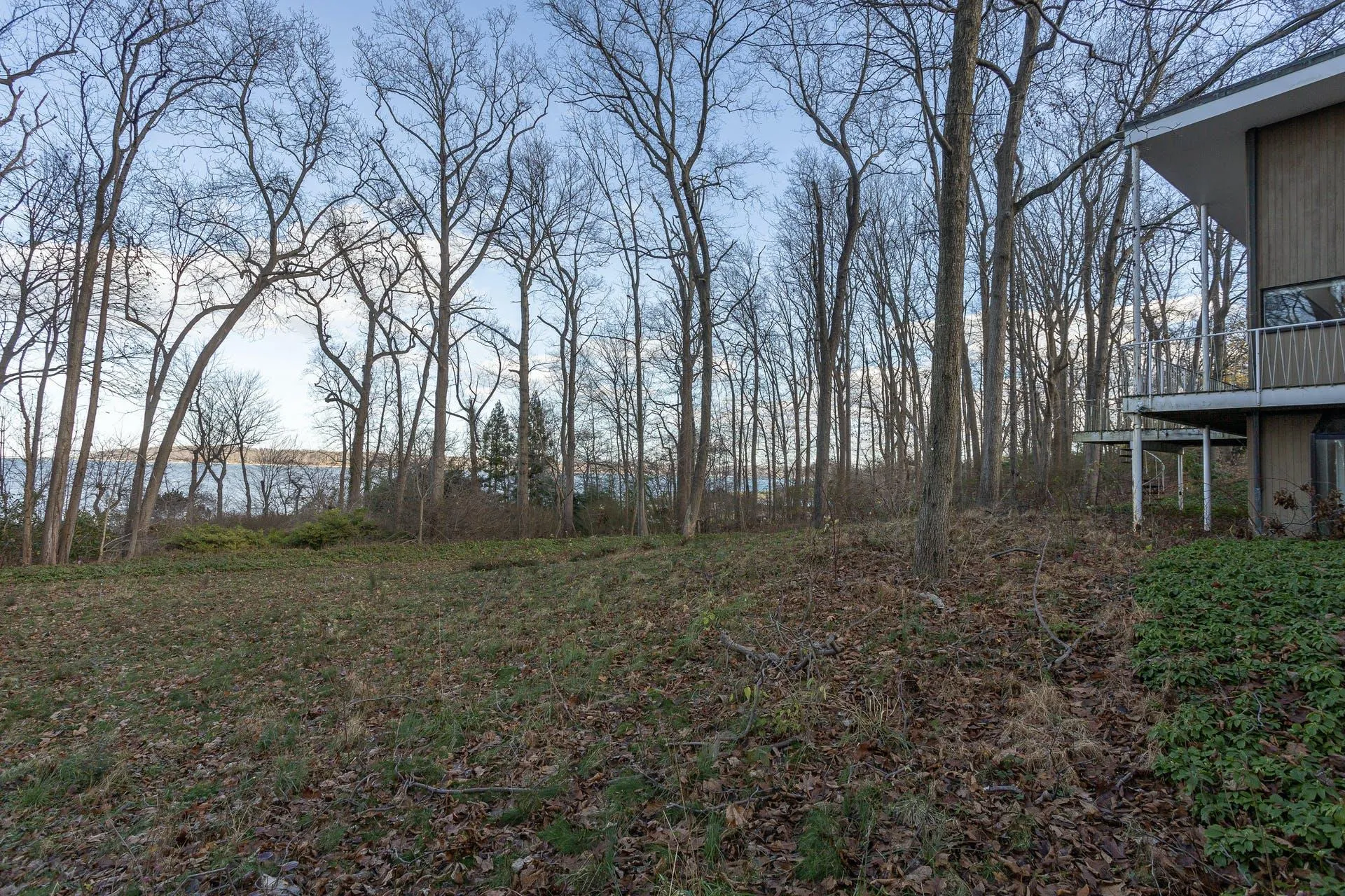 View of yard View of yard