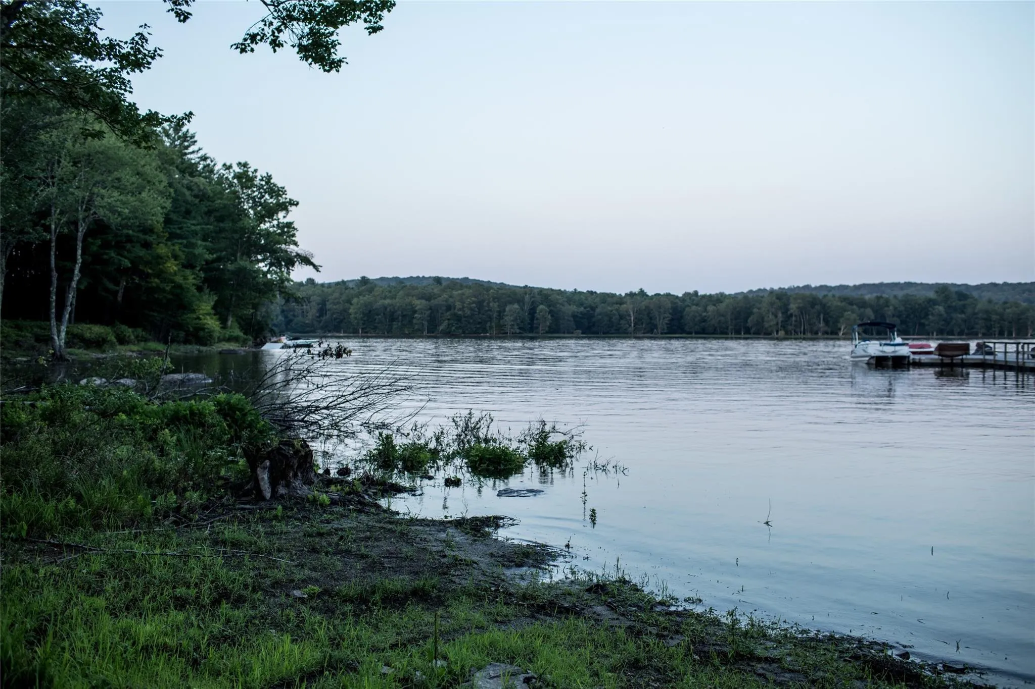 Water view with a forest and a boat dock Water view with a forest and a boat dock