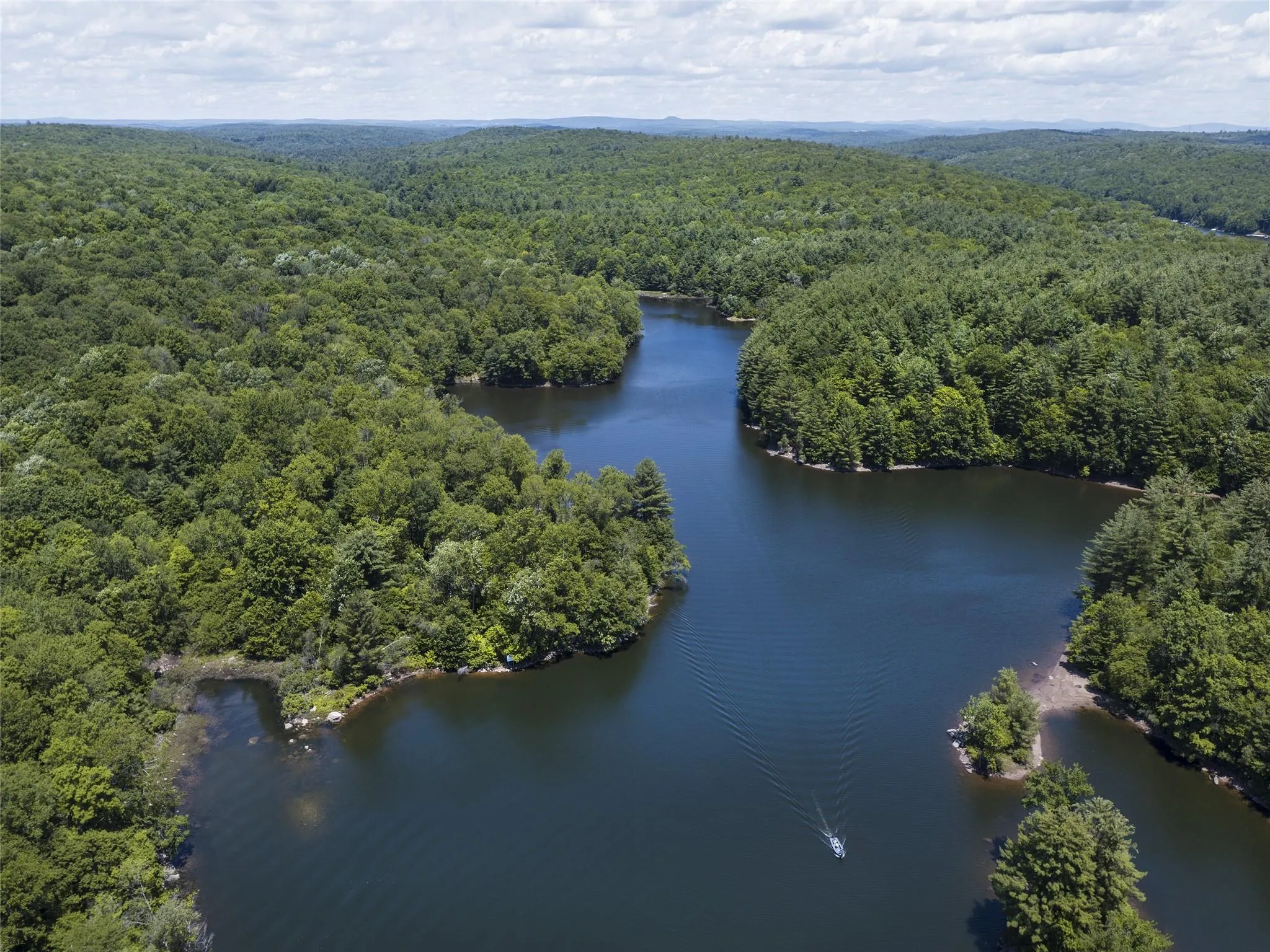 Bird's eye view of a forest and a large body of water Bird's eye view of a forest and a large body of water