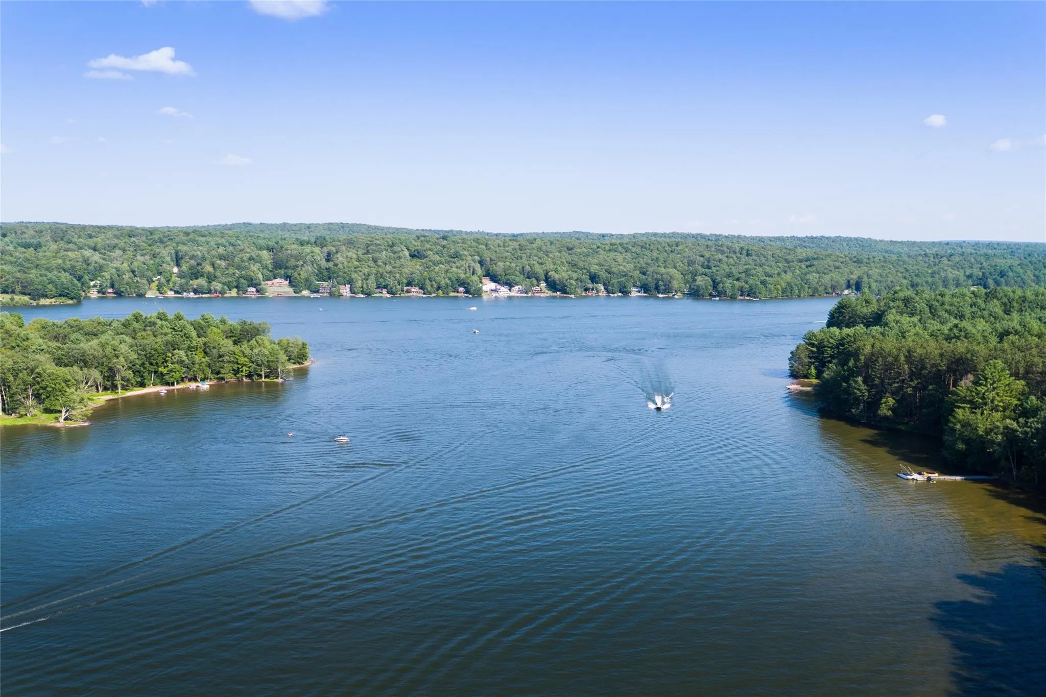 Water view with a heavily wooded area Water view with a heavily wooded area