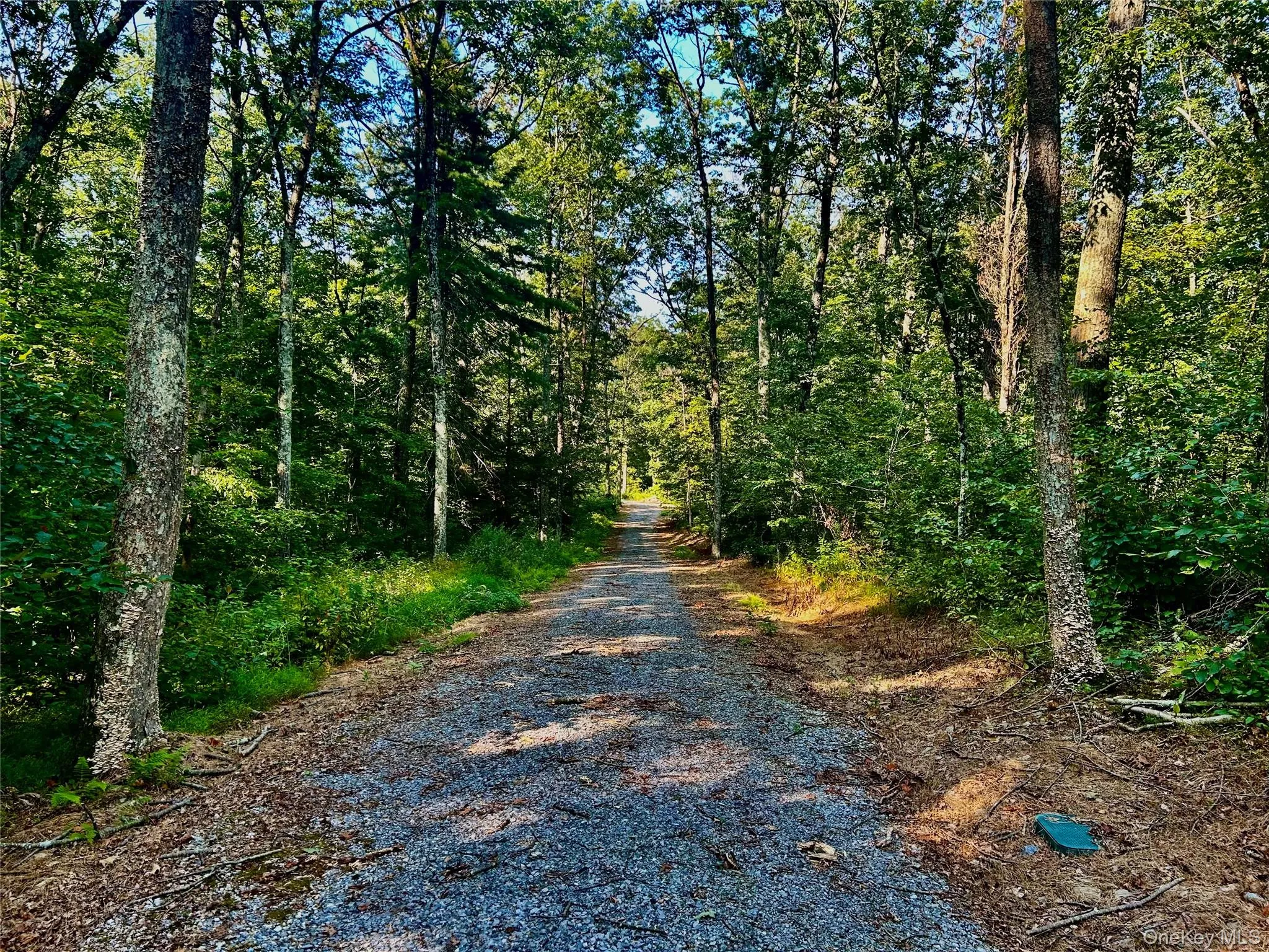 View of the driveway featuring a forest view View of the driveway featuring a forest view