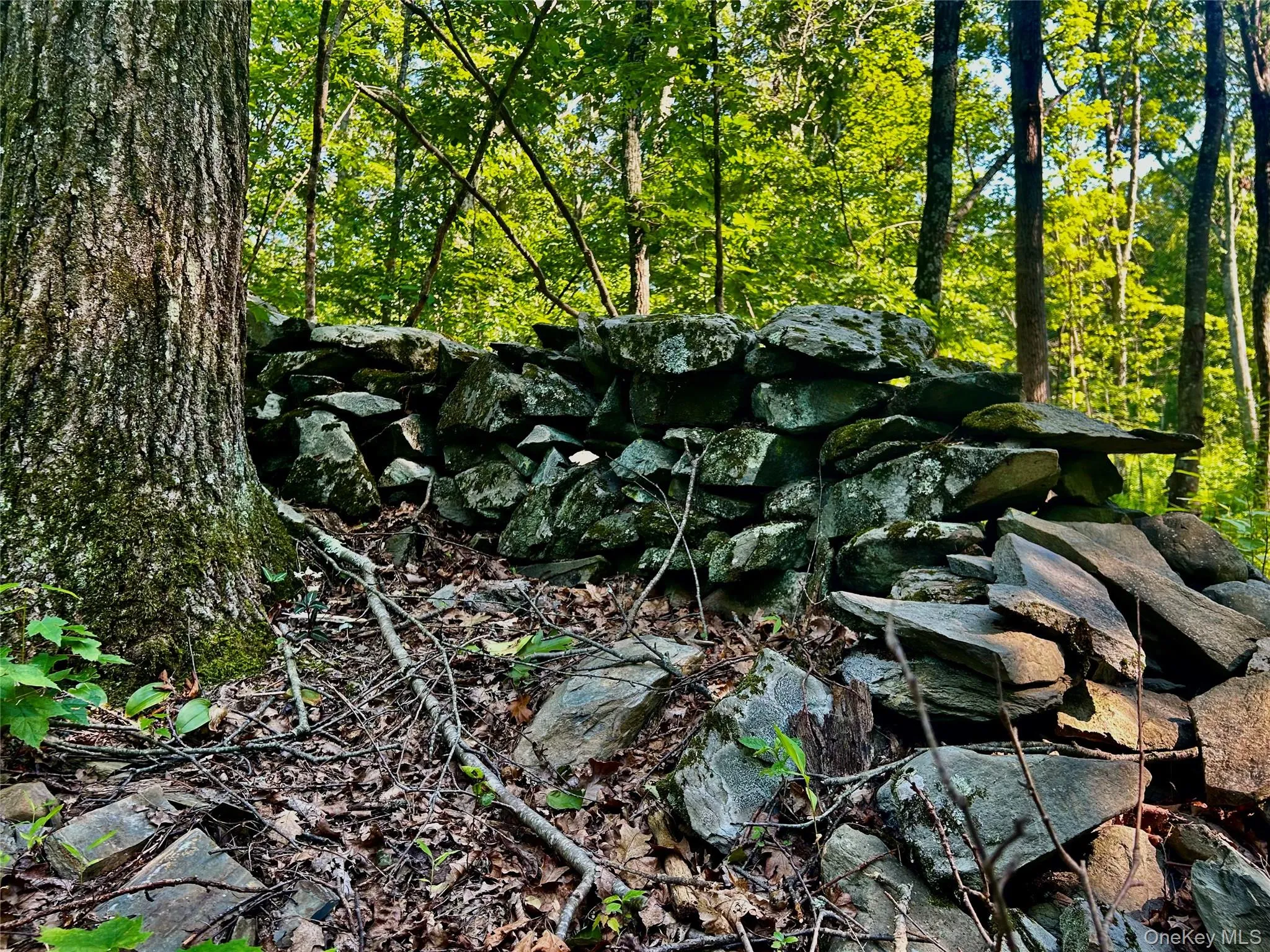 View of Stonewalls View of Stonewalls