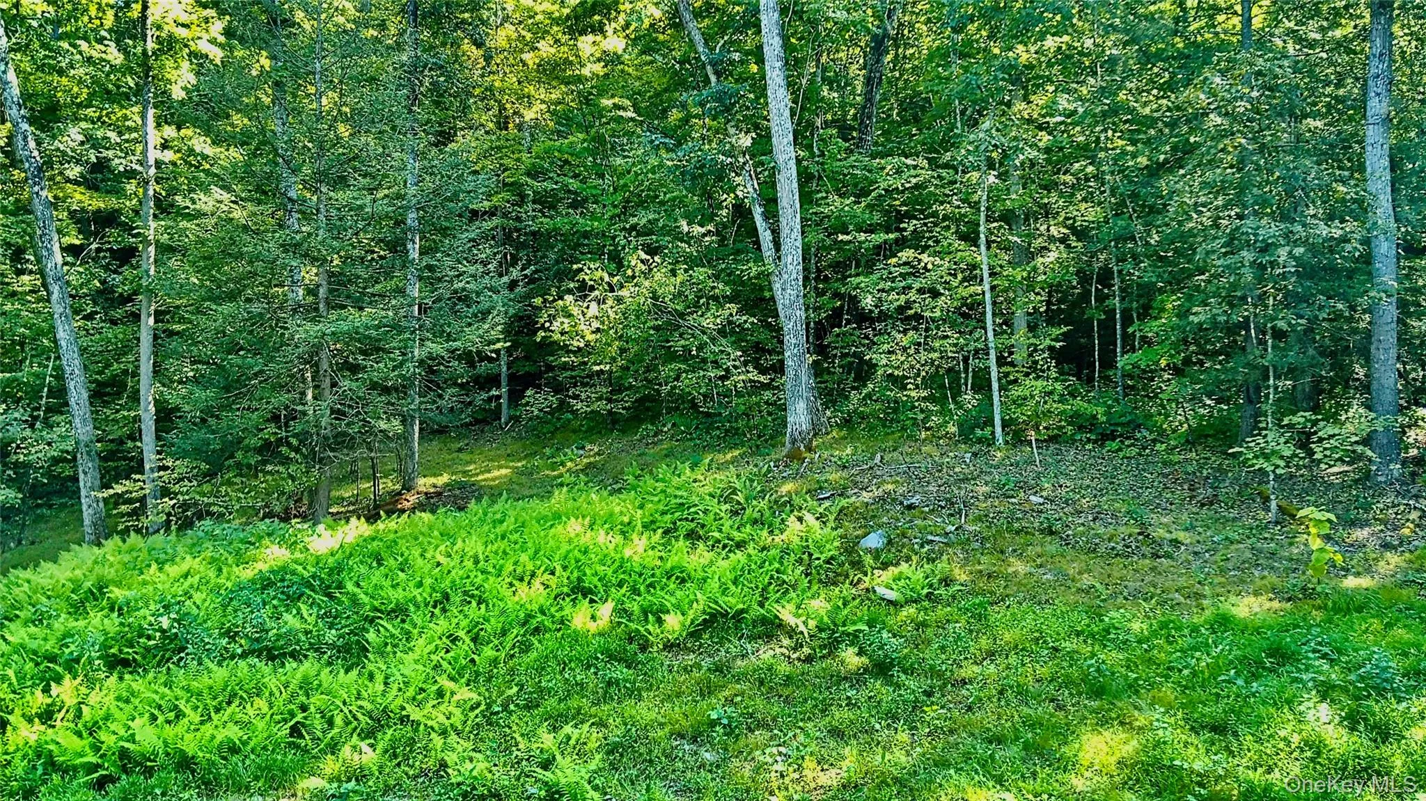 View of homesite View of homesite