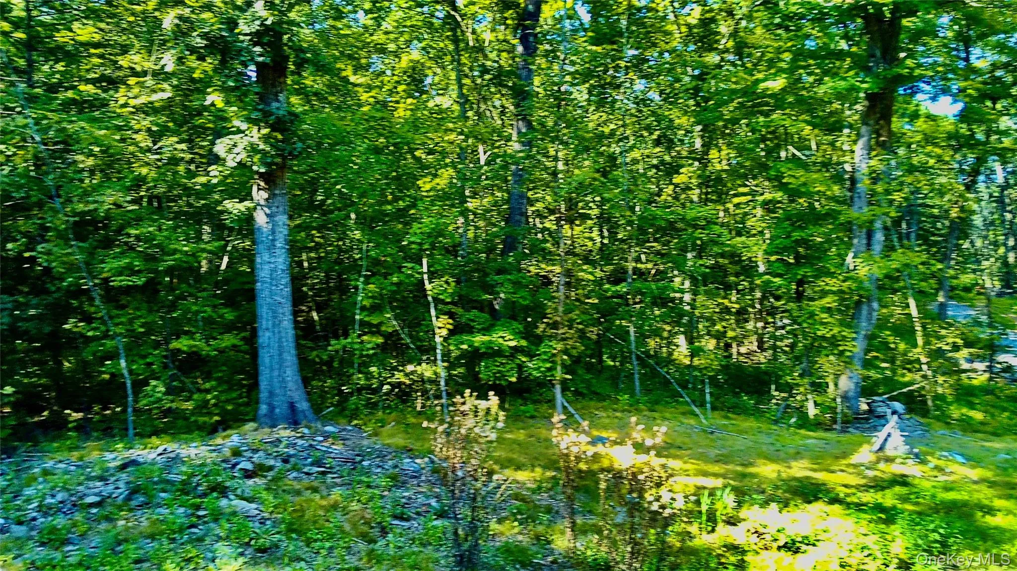 View of homesite View of homesite