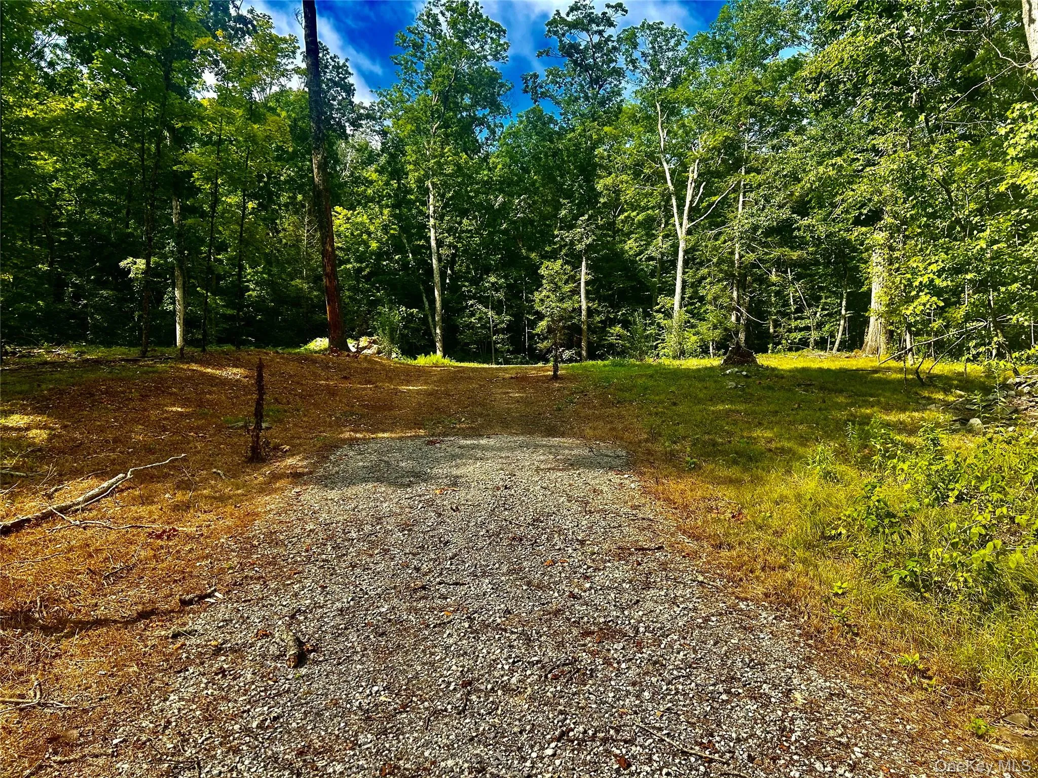 View of road and Homesite View of road and Homesite