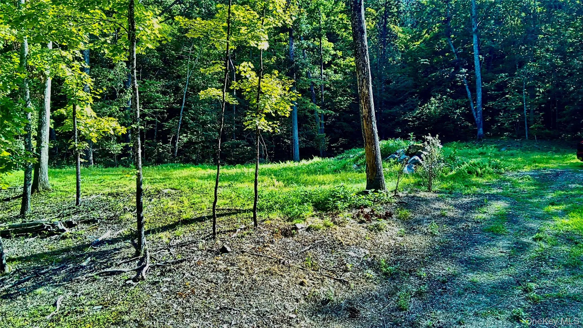 View of homesite View of homesite