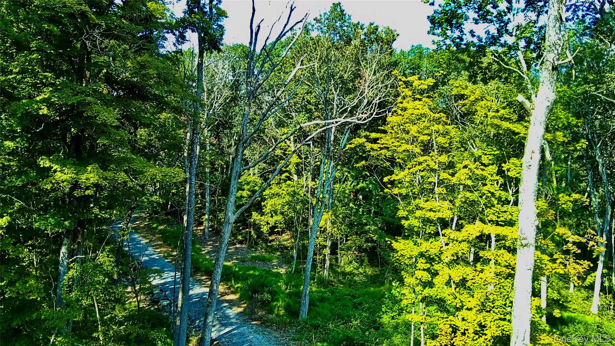 View of driveway View of driveway