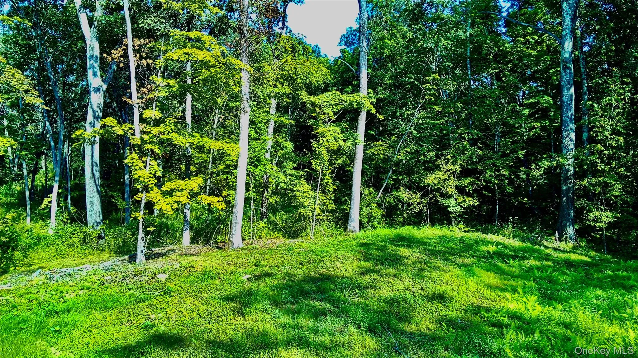 View of Homesite View of Homesite