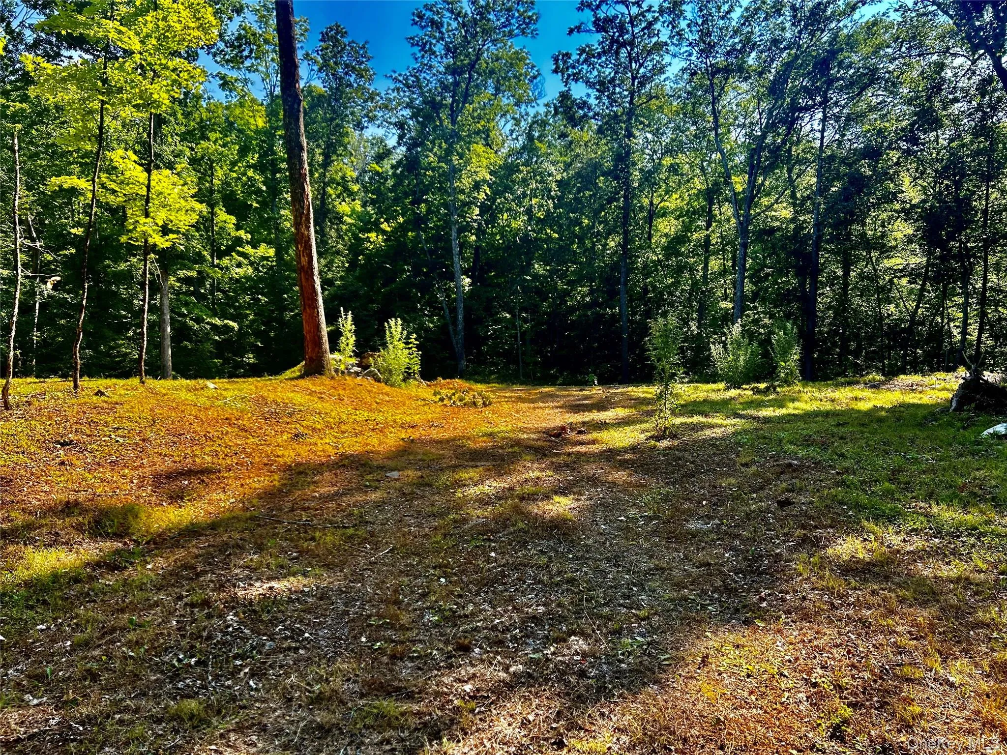 Homesite Homesite