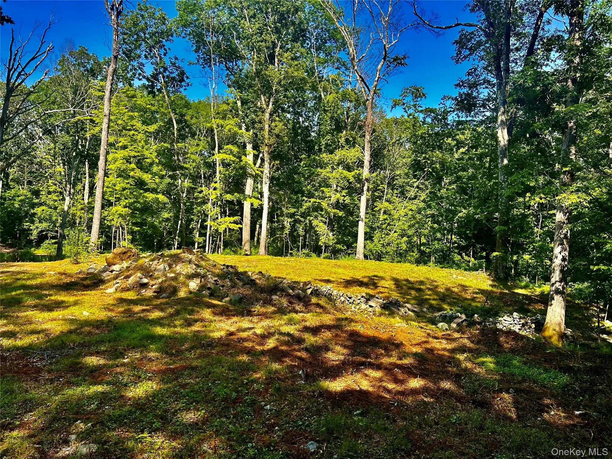 Homesite Homesite