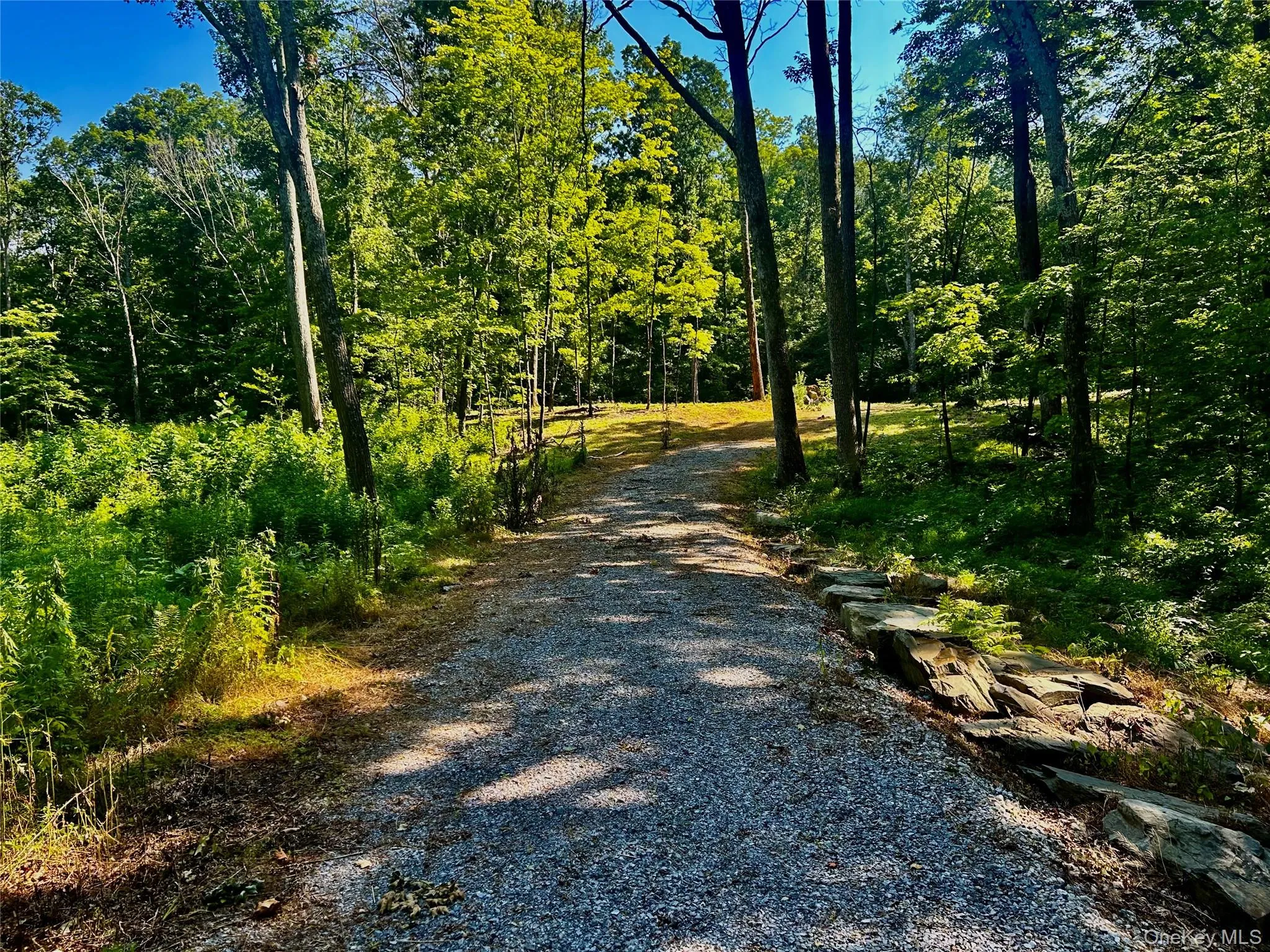 View to Homesite View to Homesite