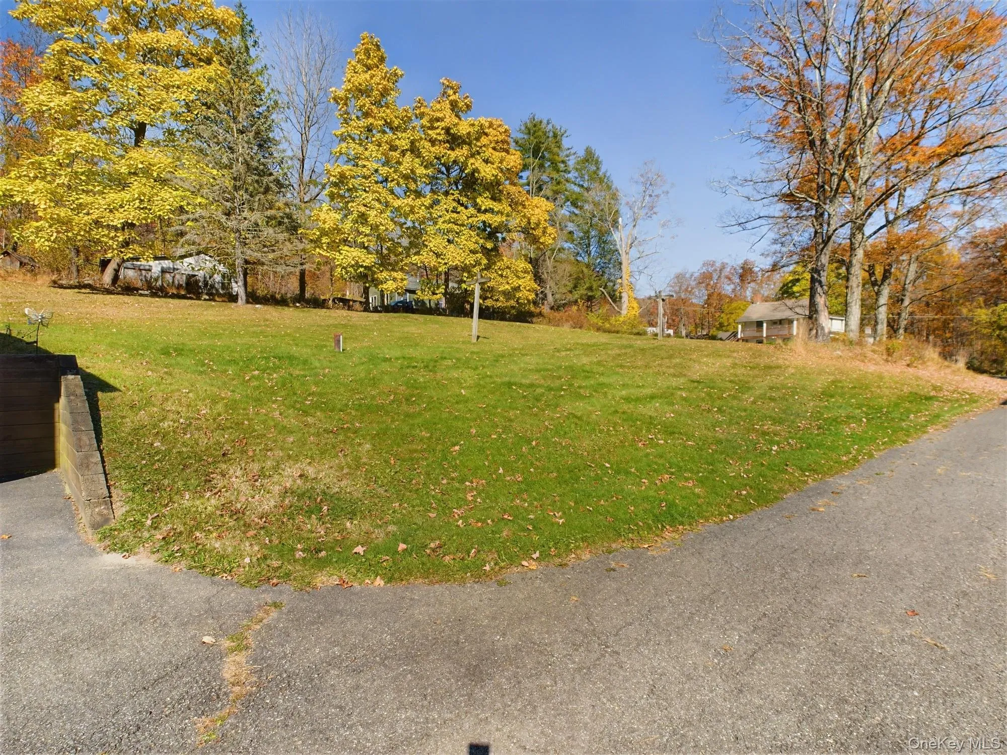 View of grassy yard View of grassy yard