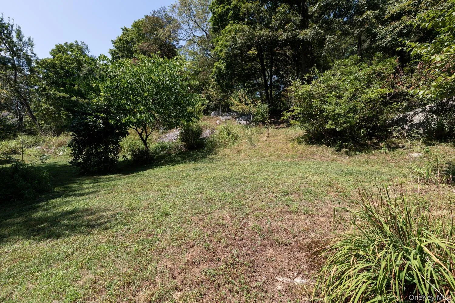View of grassy yard View of grassy yard