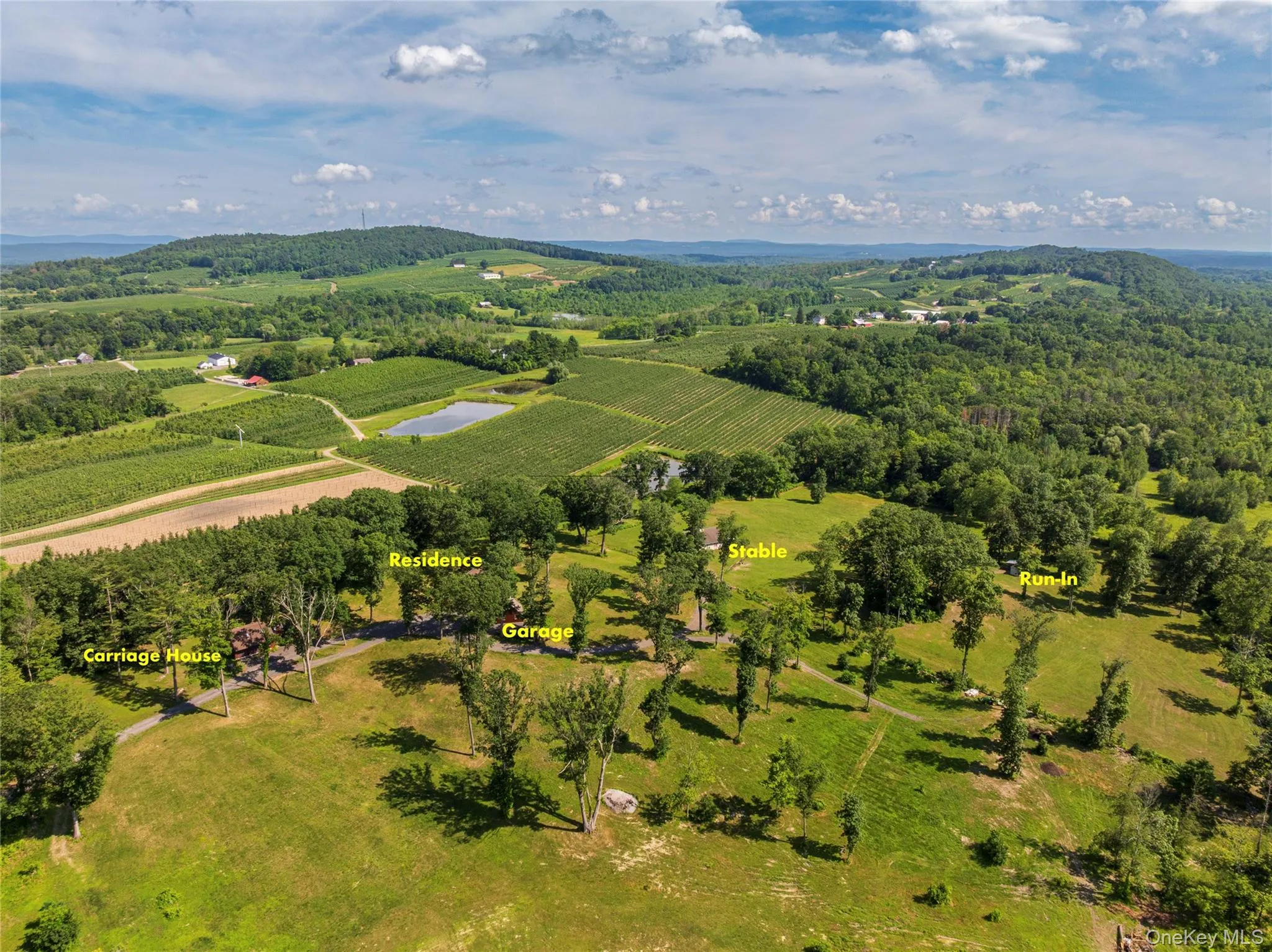 Aerial view of sparsely populated area featuring rows of crops Aerial view of sparsely populated area featuring rows of crops