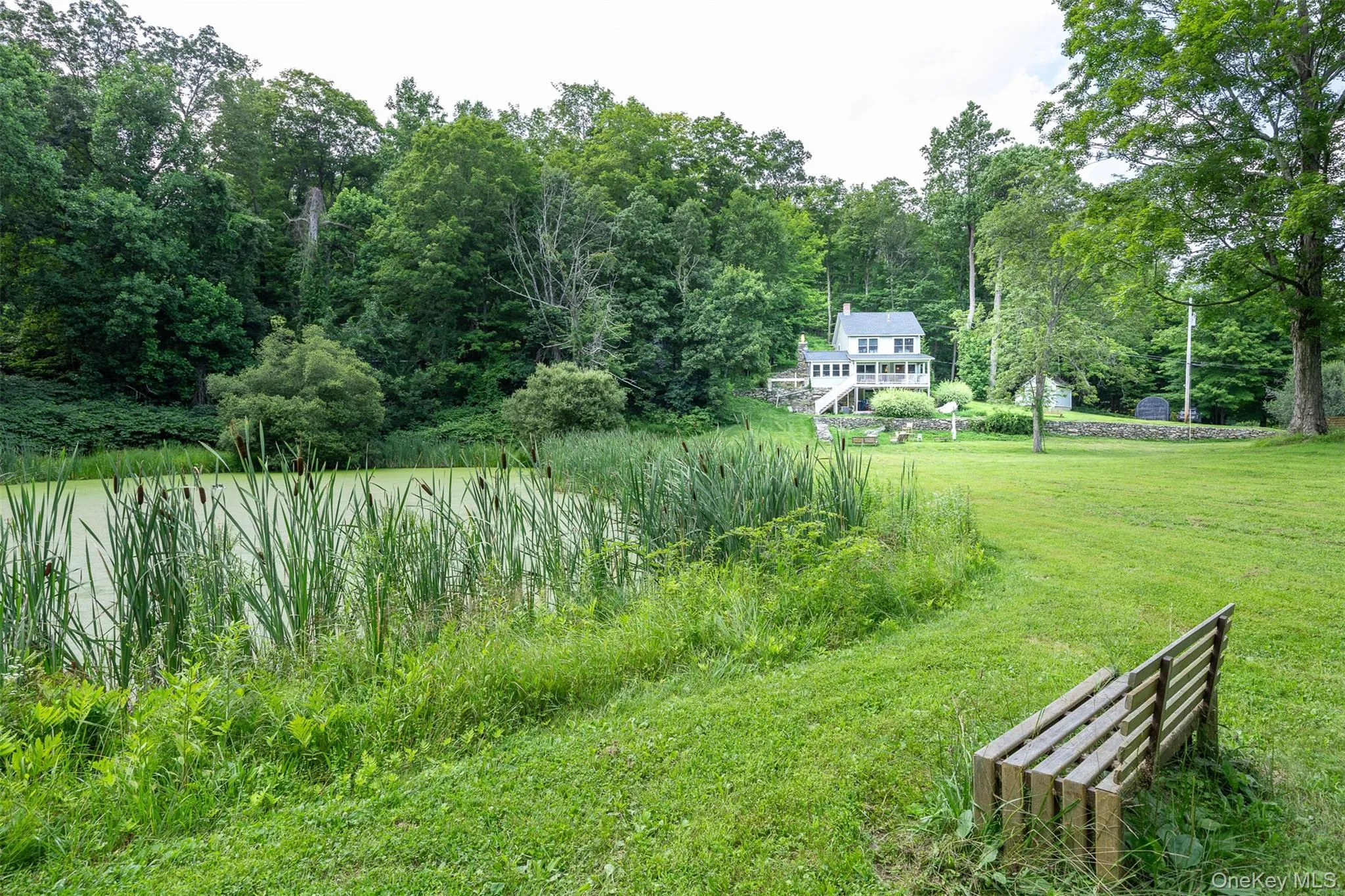 View of green lawn with a forest view View of green lawn with a forest view