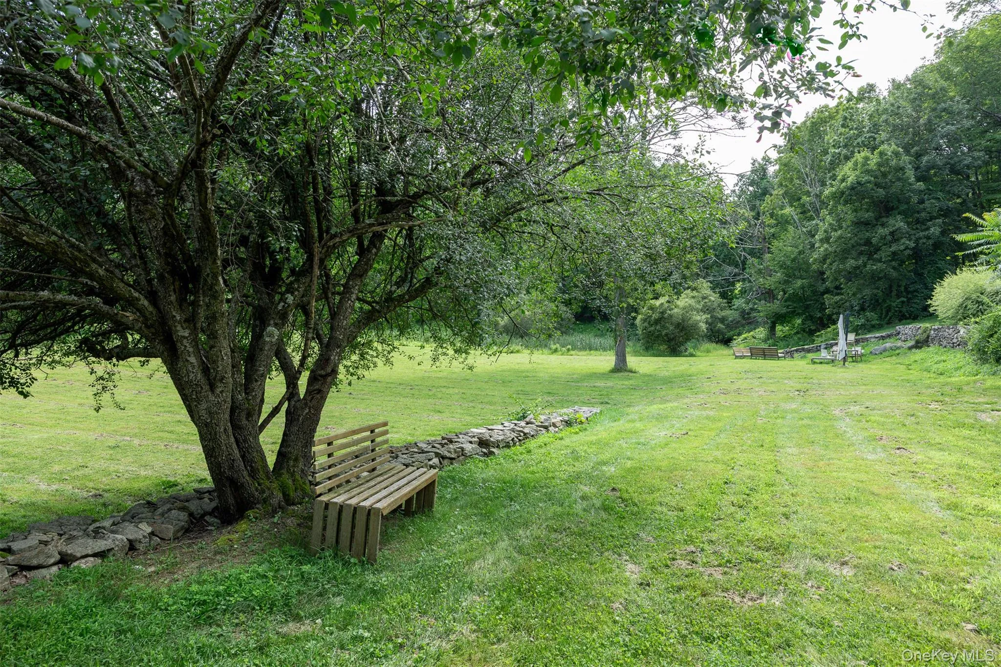 View of green lawn View of green lawn