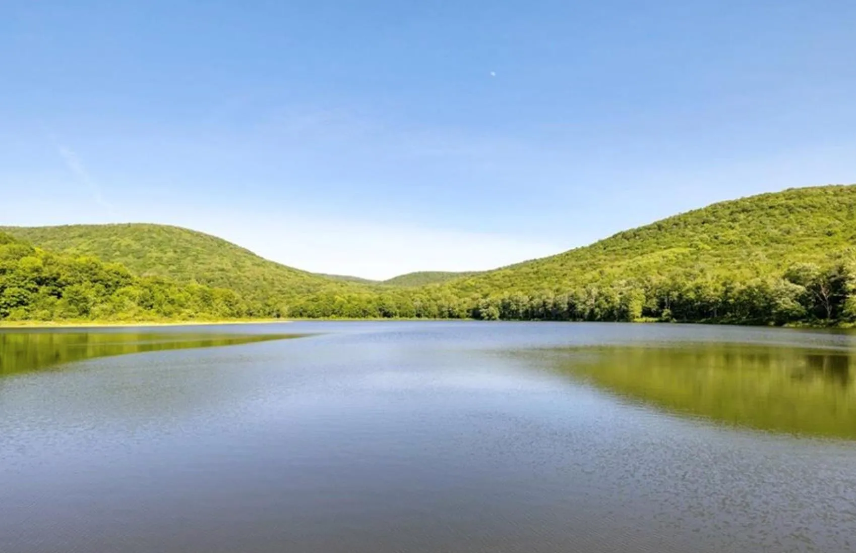 Water view featuring a heavily wooded area Water view featuring a heavily wooded area