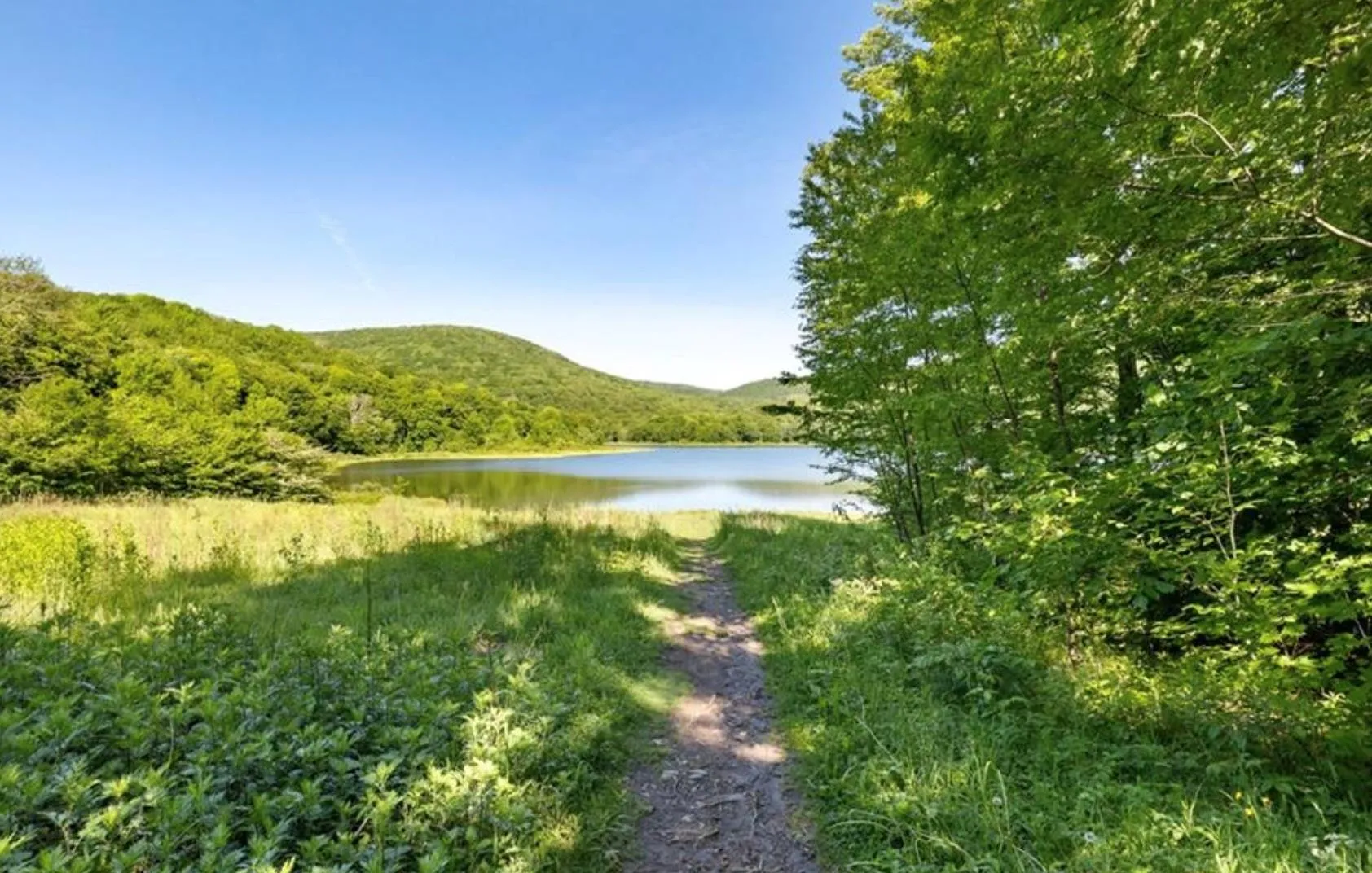 Water view with a heavily wooded area Water view with a heavily wooded area