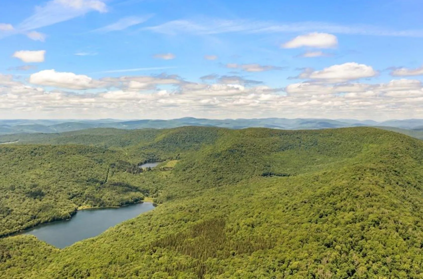 Drone / aerial view of a forest and a water and mountain view Drone / aerial view of a forest and a water and mountain view