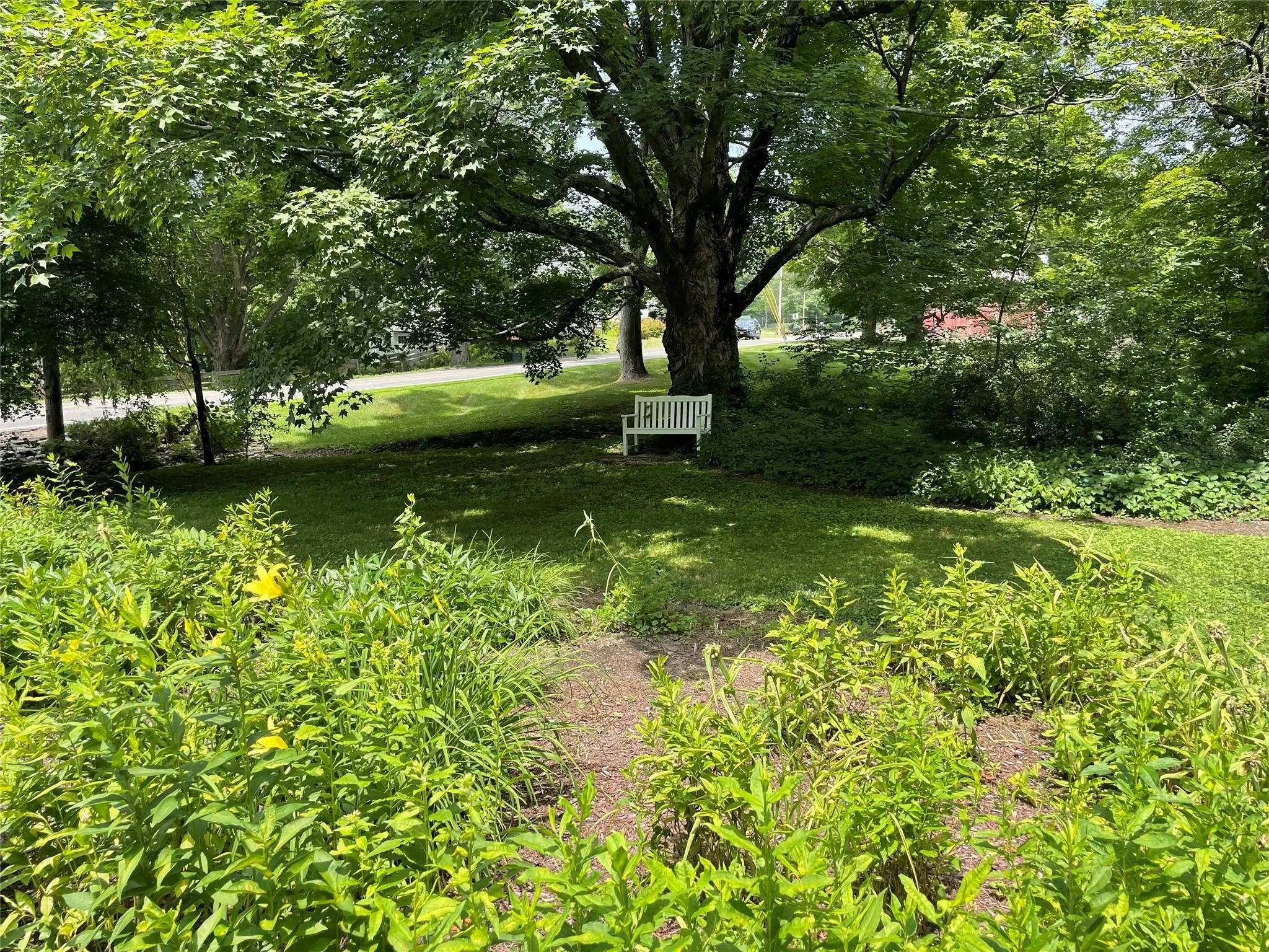 View of green lawn View of green lawn