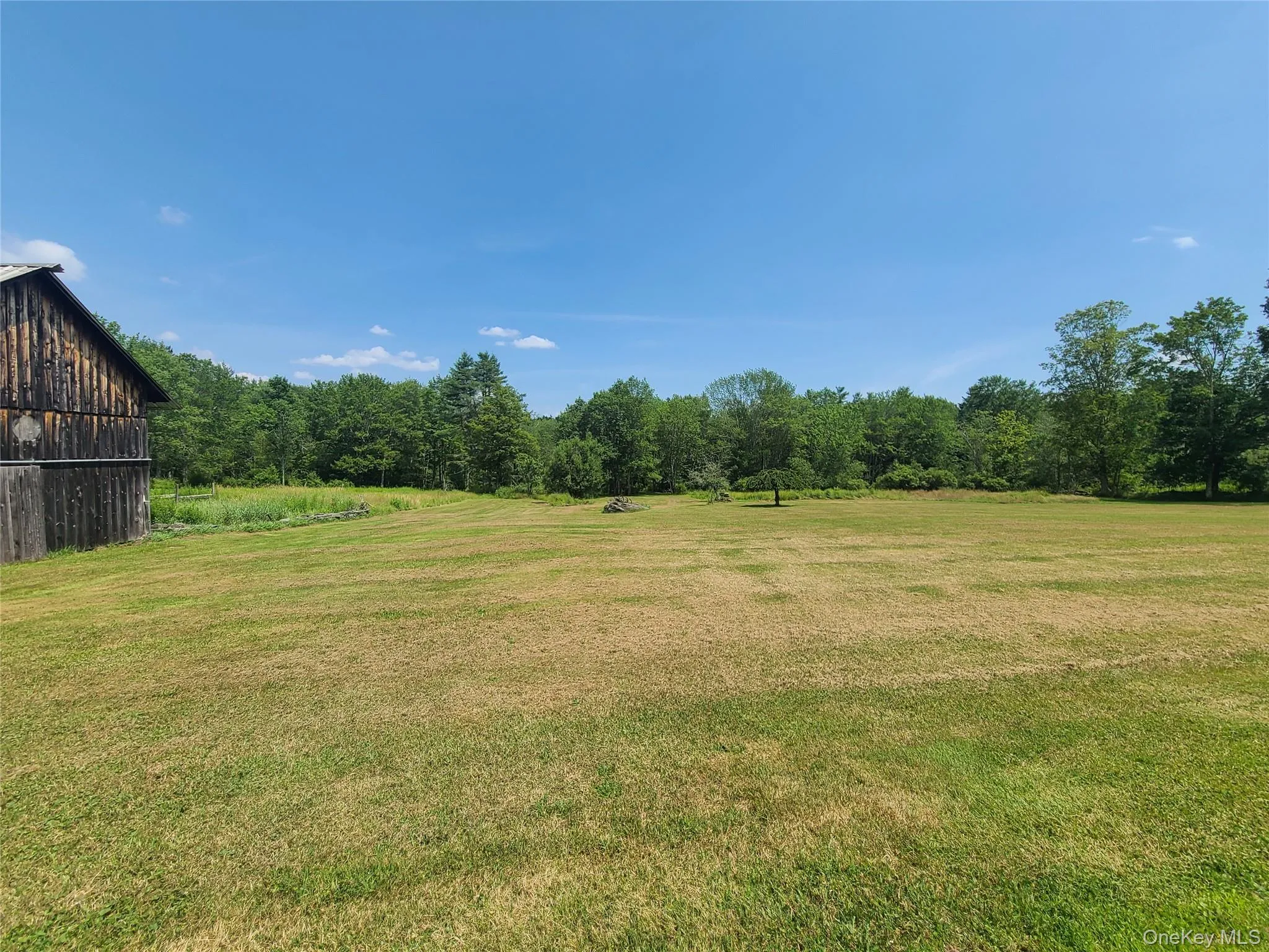 View of grassy yard with an outbuilding, a forest view, and a barn View of grassy yard with an outbuilding, a forest view, and a barn