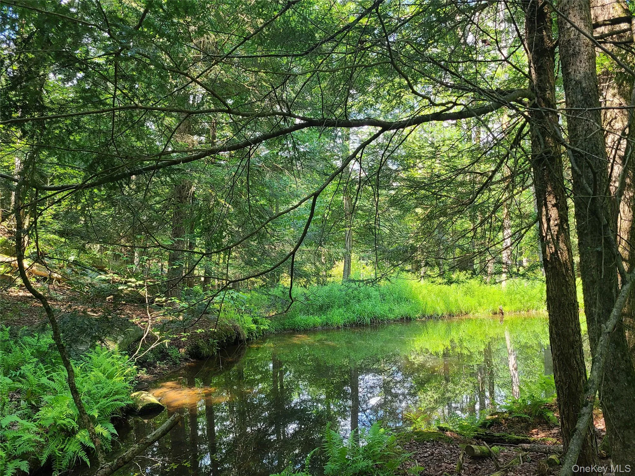 Water view with a heavily wooded area Water view with a heavily wooded area