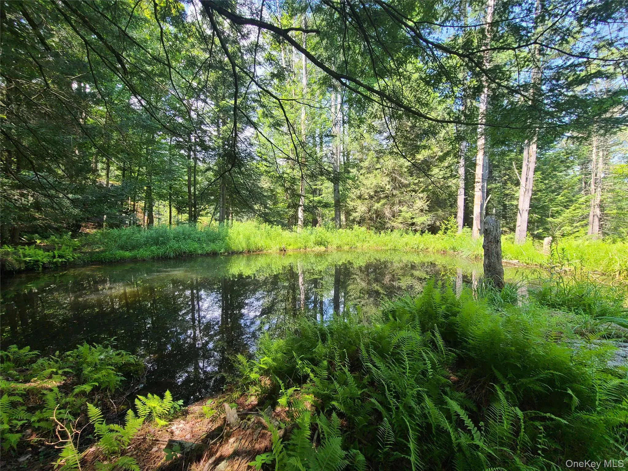 28 Martin Lane, Bethel, NY, 4 Bedrooms Bedrooms, 9 Rooms Rooms,1 BathroomBathrooms,Residential,For Rent,Martin,0,889616 28 Martin Lane, Bethel, NY, 4 Bedrooms Bedrooms, 9 Rooms Rooms,1 BathroomBathrooms,Residential,For Rent,Martin,0,889616