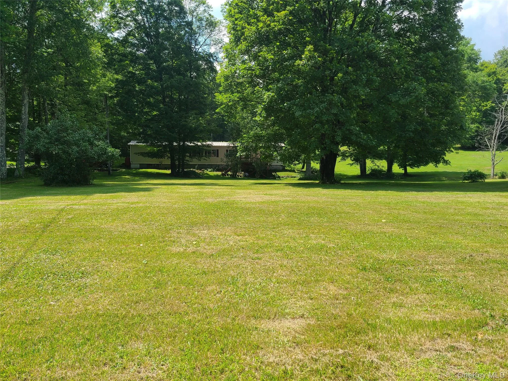 View of green lawn View of green lawn