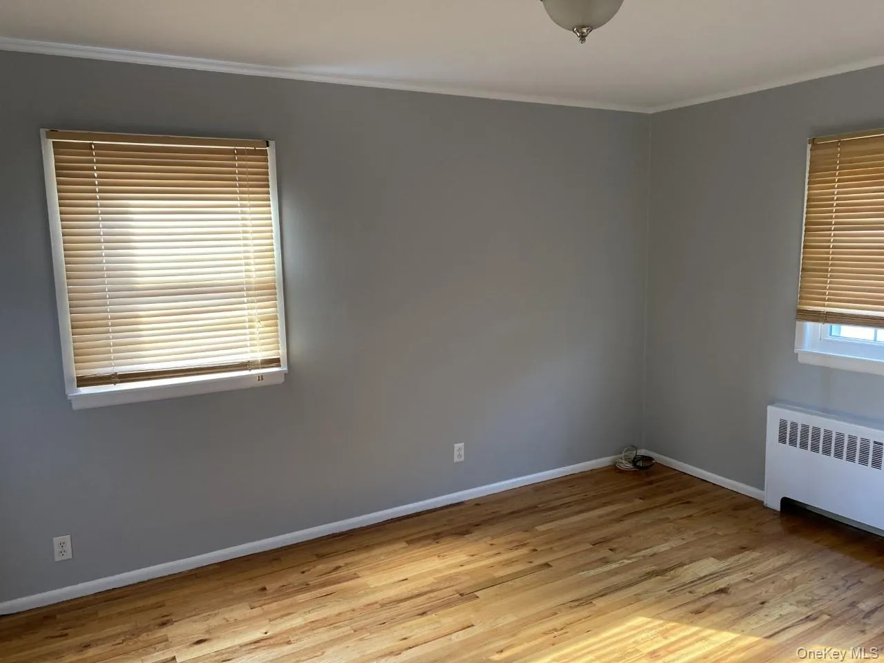 Bedroom with wood finished floors, crown molding, and radiator Bedroom with wood finished floors, crown molding, and radiator