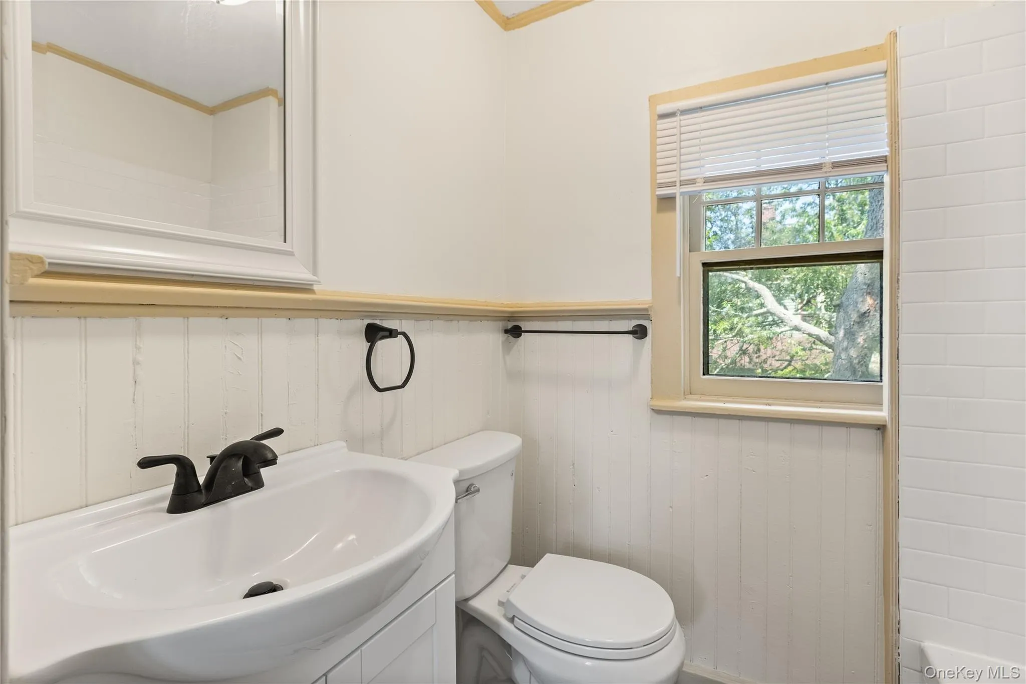 Full bathroom featuring vanity, a wainscoted wall, crown molding, and a bathtub Full bathroom featuring vanity, a wainscoted wall, crown molding, and a bathtub