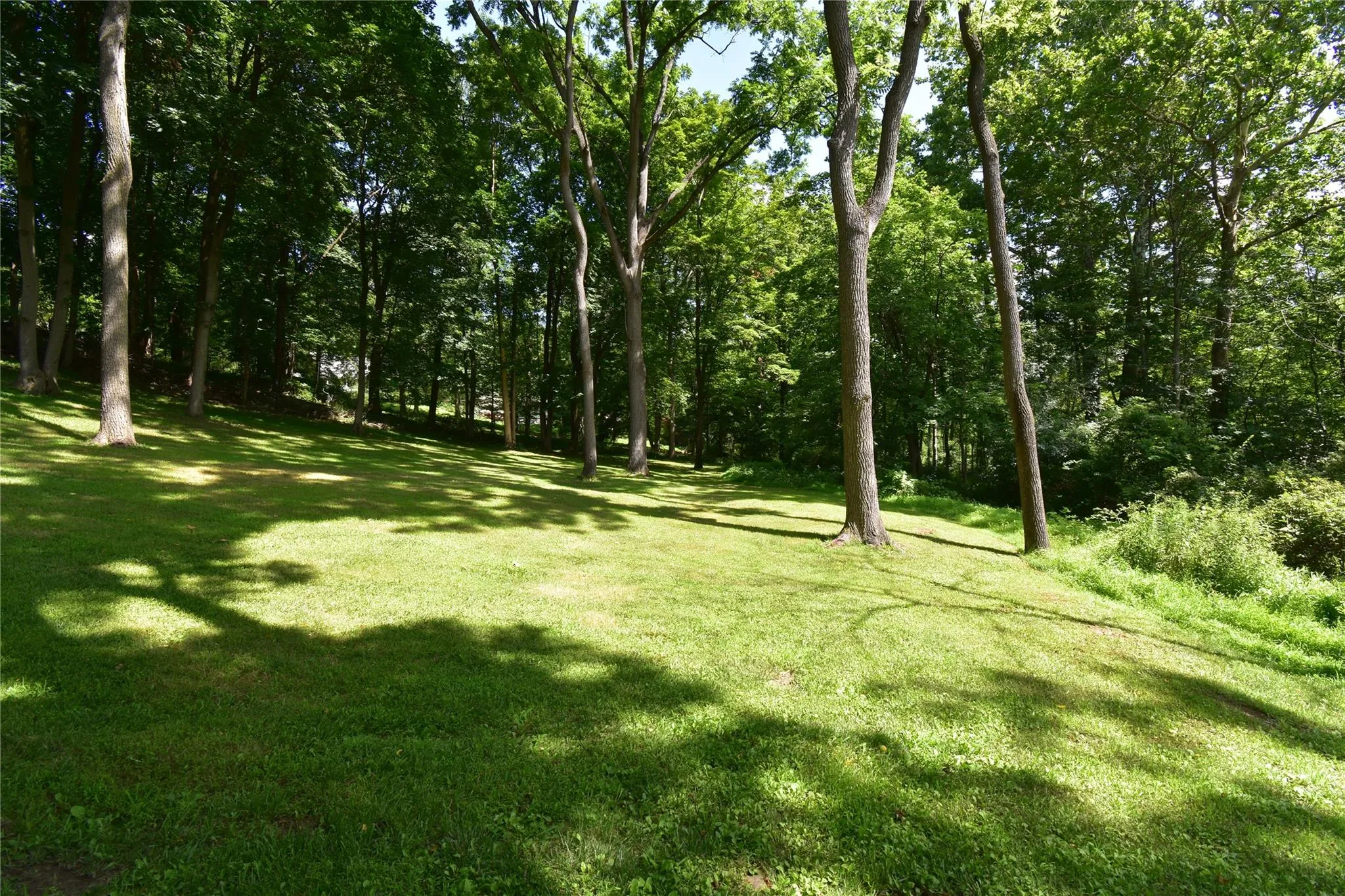 Expansive lawns Expansive lawns