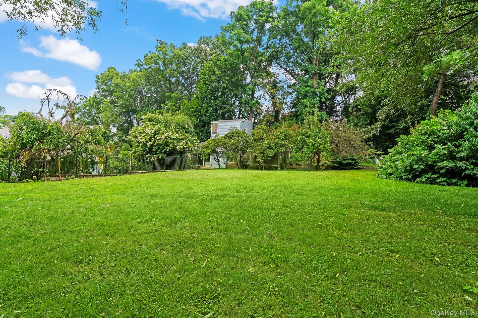 View of yard featuring view of scattered trees View of yard featuring view of scattered trees
