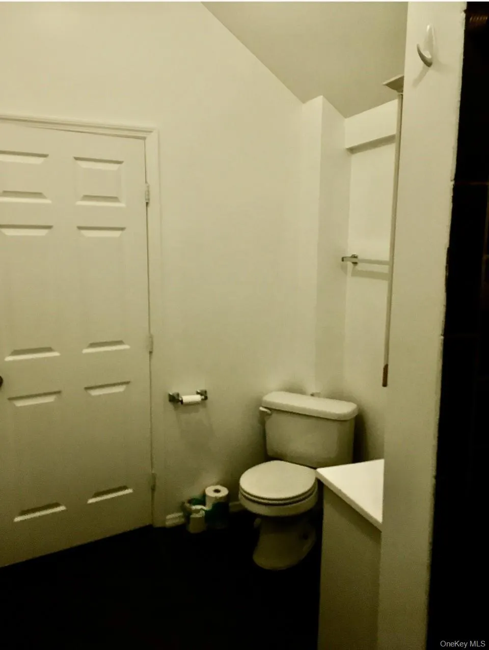 Bathroom featuring vanity and vaulted ceiling Bathroom featuring vanity and vaulted ceiling