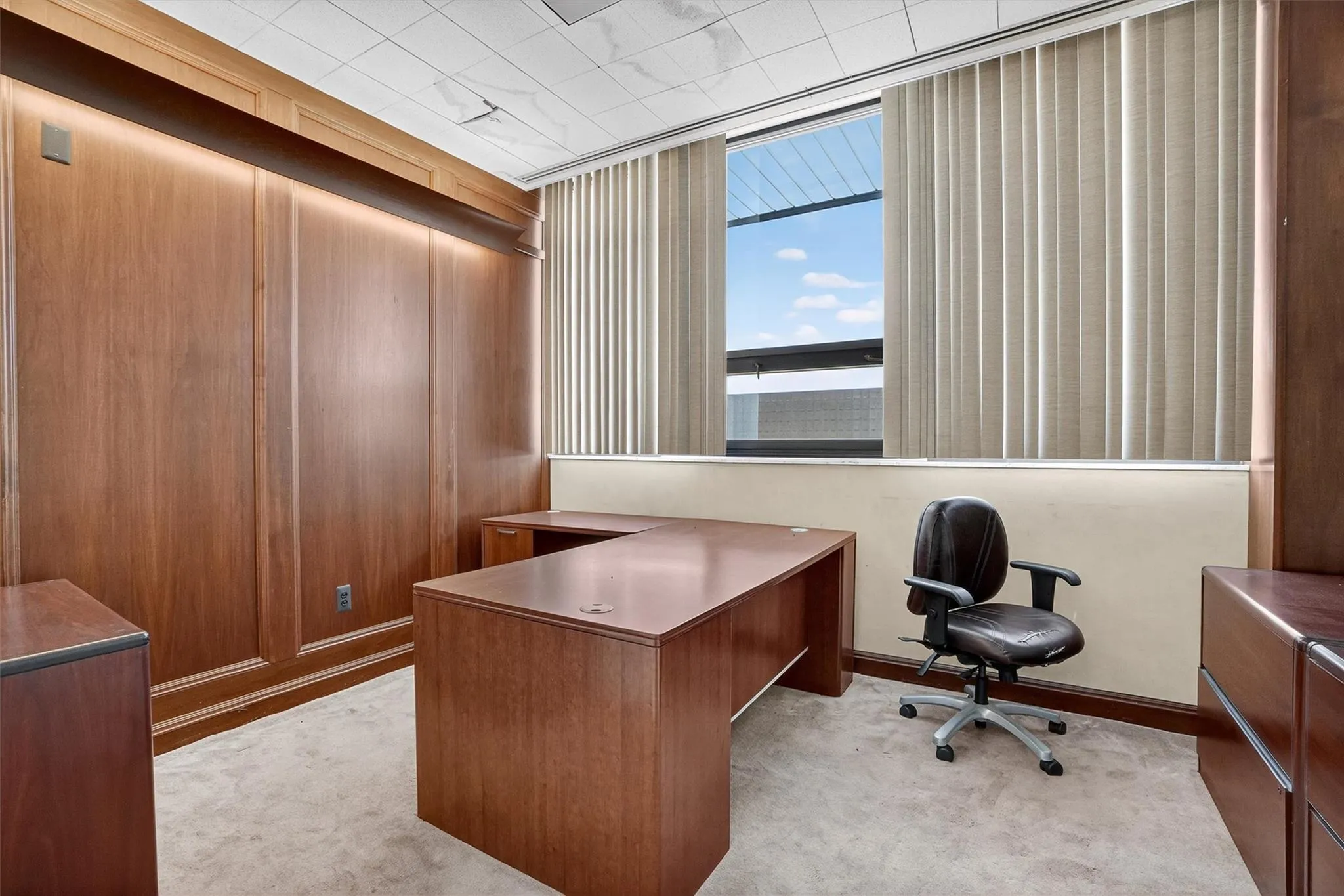 Office featuring carpet floors Office featuring carpet floors