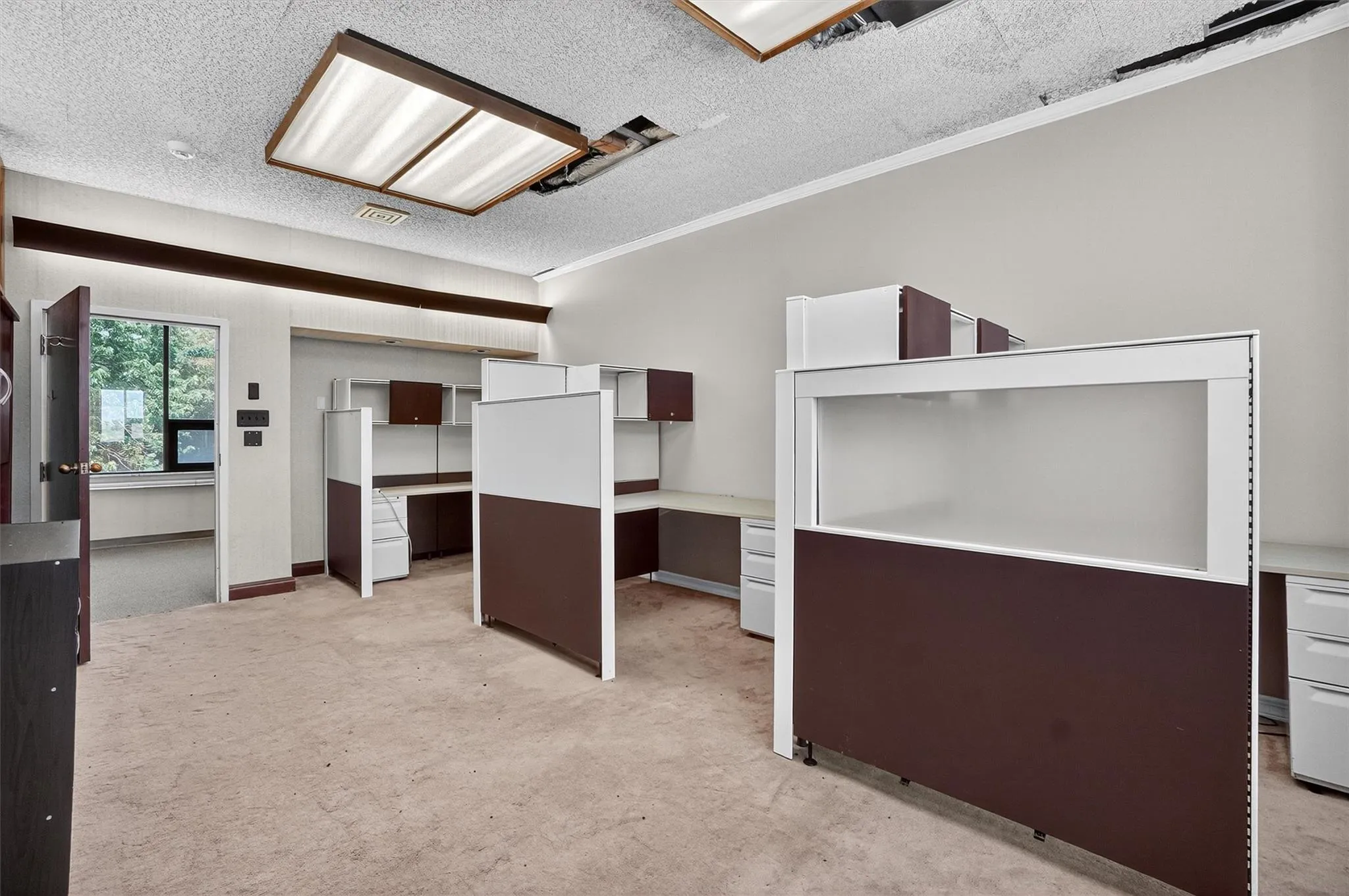 Unfurnished living room with light colored carpet, a textured ceiling, and crown molding Unfurnished living room with light colored carpet, a textured ceiling, and crown molding
