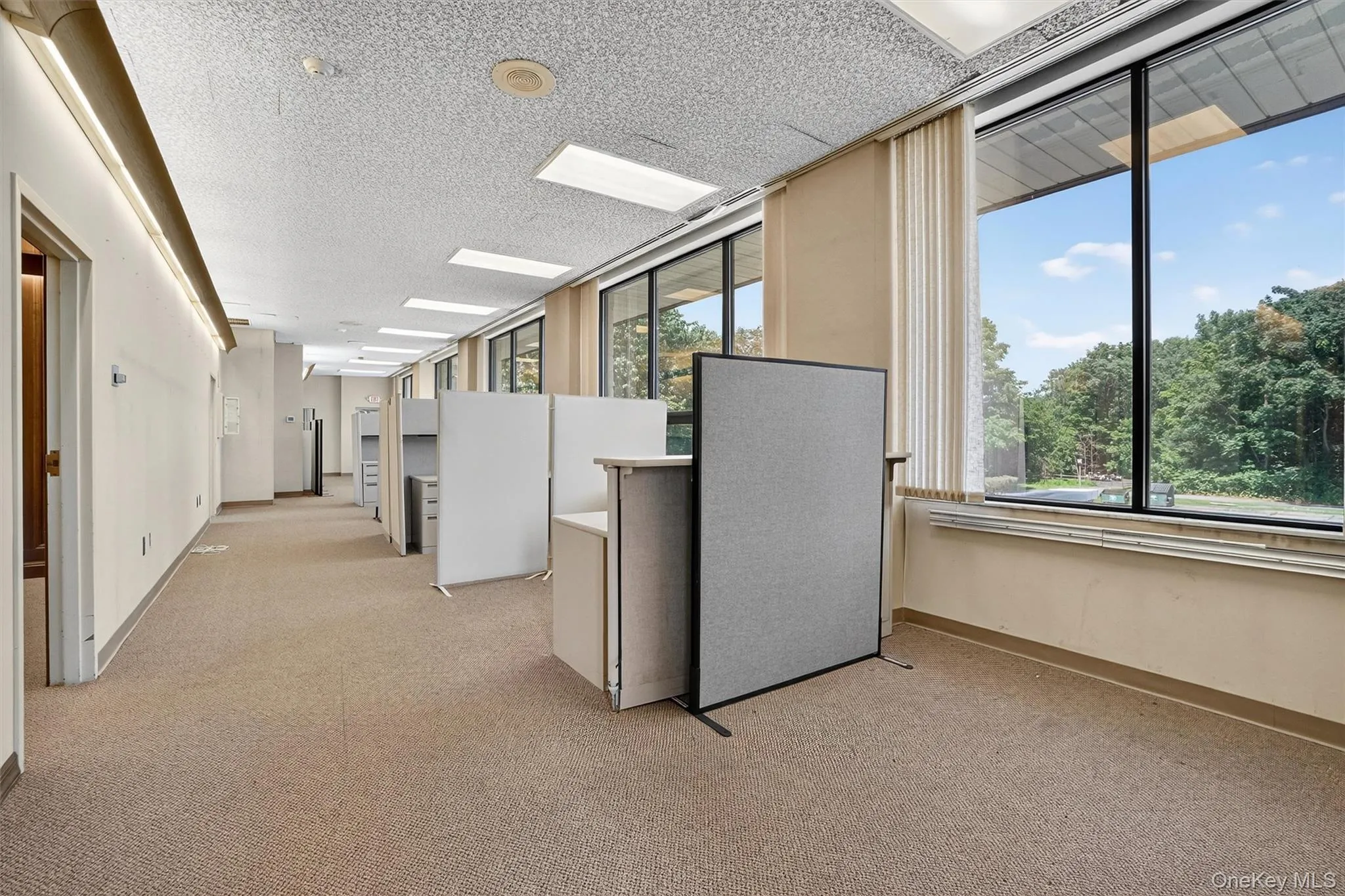 Hall with healthy amount of natural light, light colored carpet, and a textured ceiling Hall with healthy amount of natural light, light colored carpet, and a textured ceiling