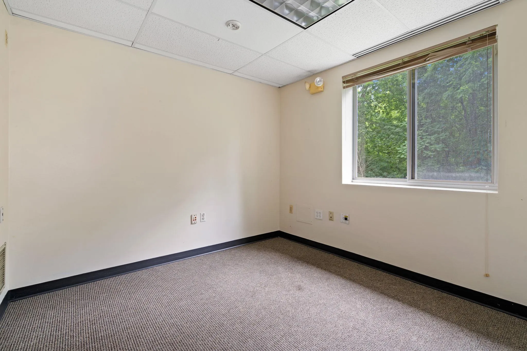 Unfurnished room with a drop ceiling and carpet Unfurnished room with a drop ceiling and carpet