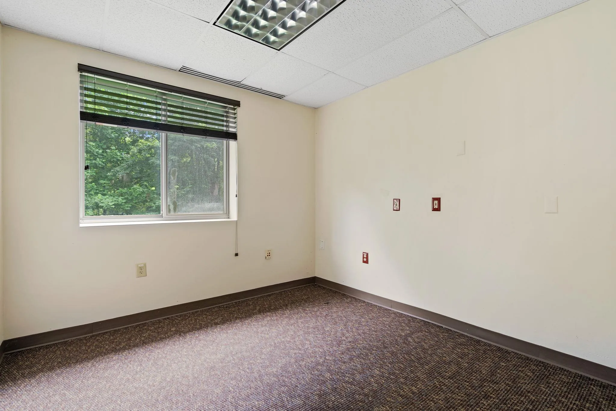 Carpeted empty room with a paneled ceiling and baseboards Carpeted empty room with a paneled ceiling and baseboards