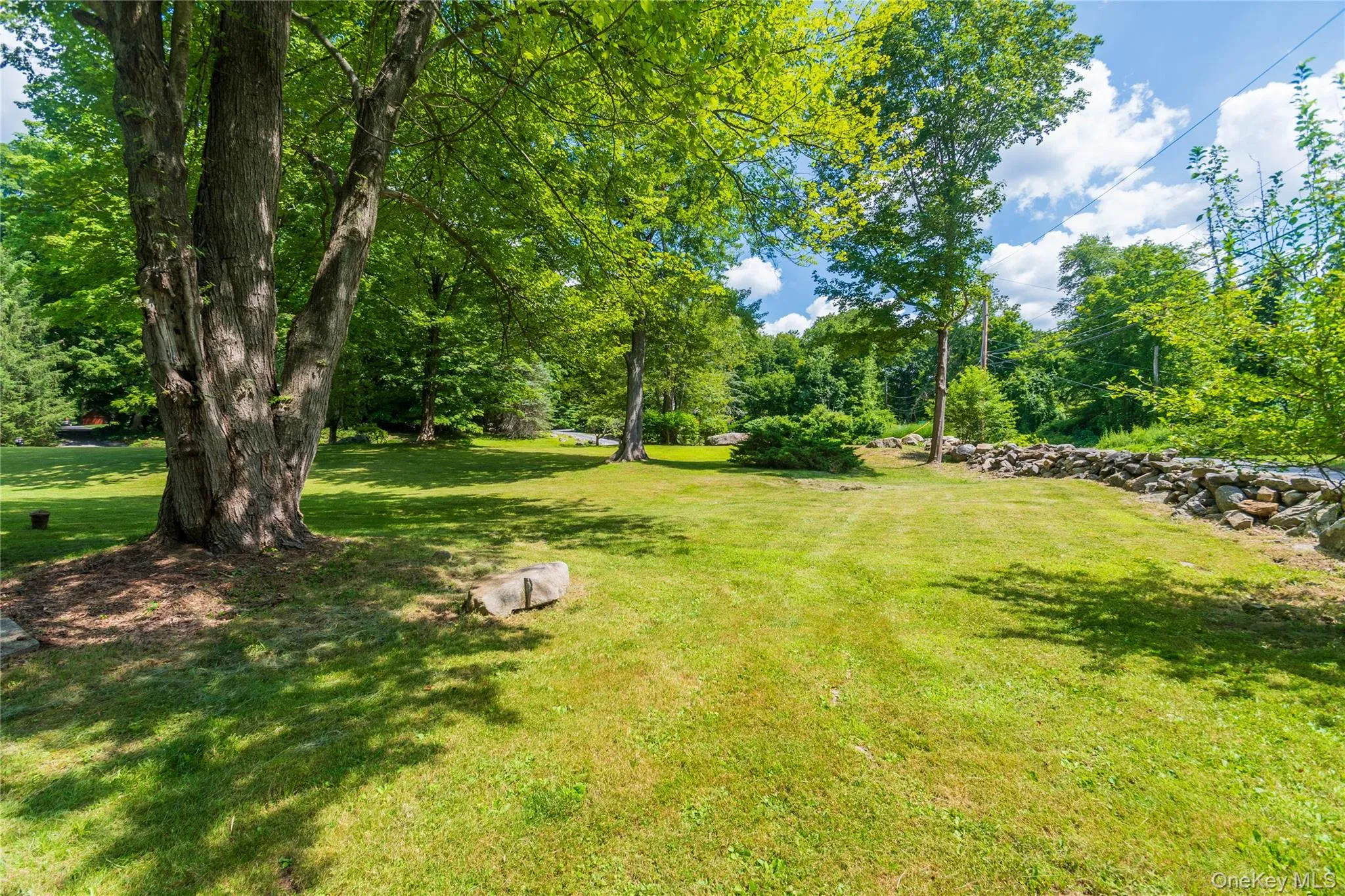 View of green lawn View of green lawn