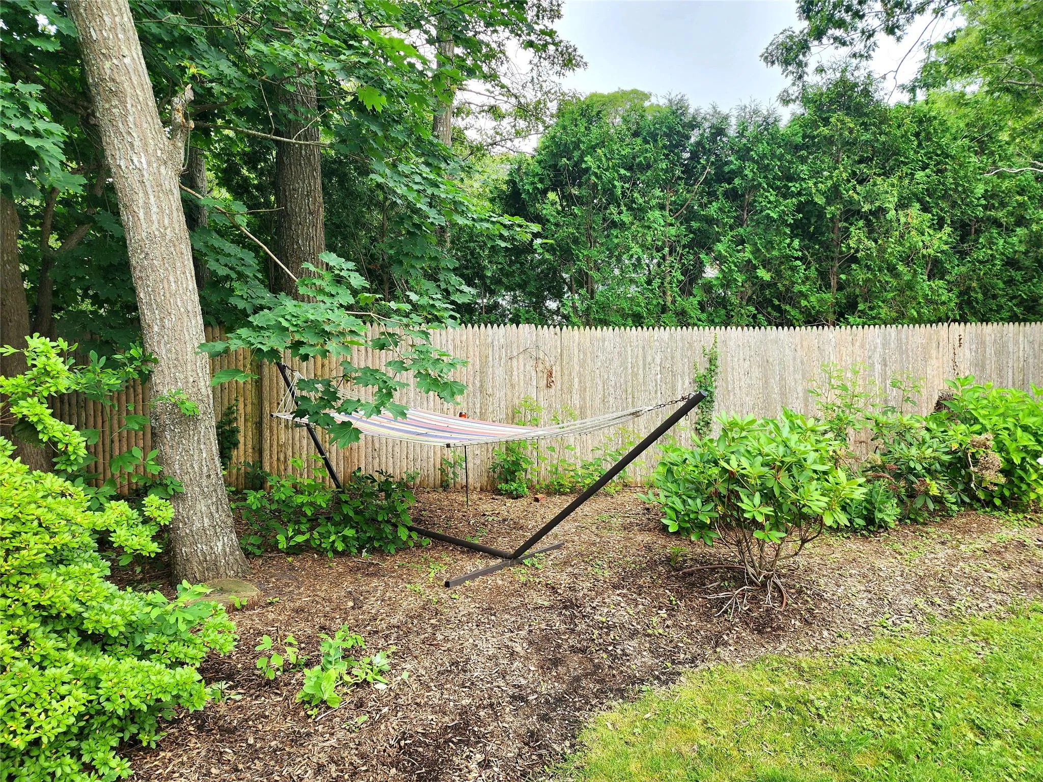 View of yard View of yard