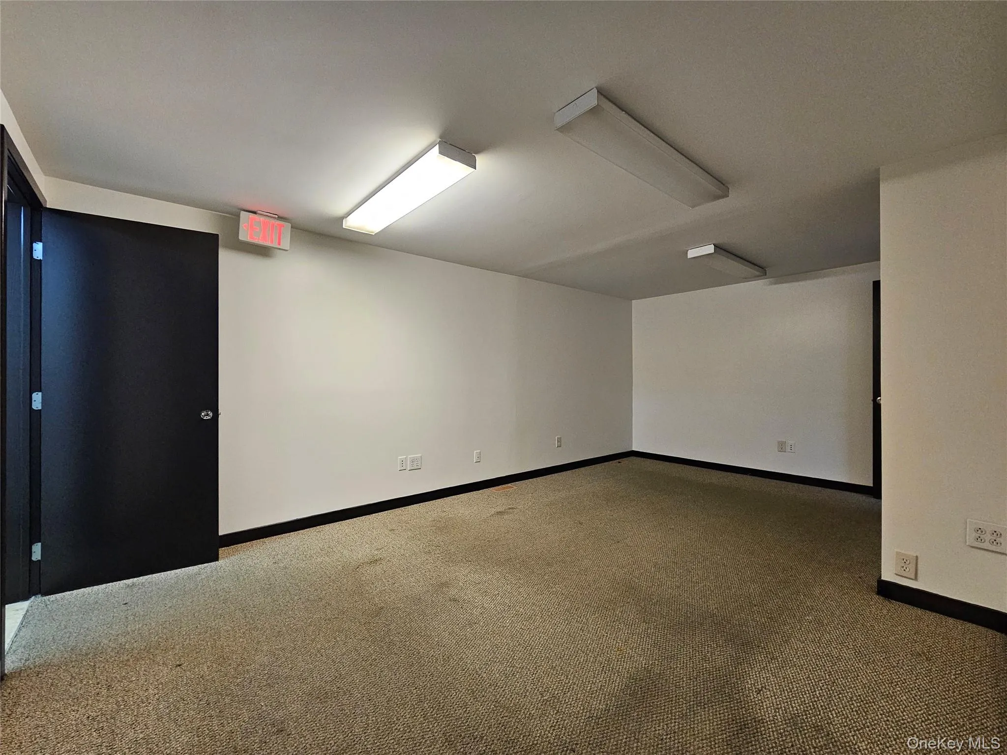 Spare room with light colored carpet and baseboards Spare room with light colored carpet and baseboards